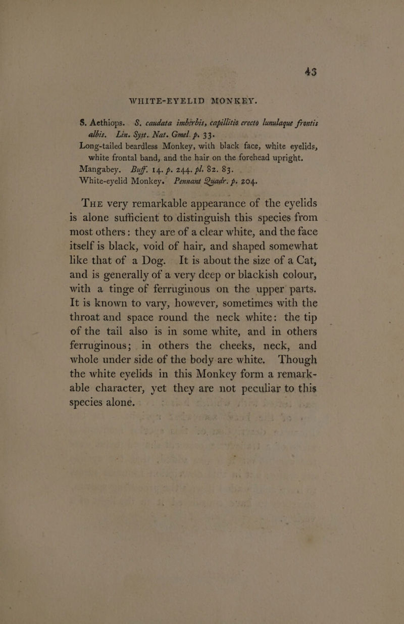 43 WHITE-EYELID MONKEY. §. Aethiops. 8. caudata imbéerbis, capillitia erecto lunulaque frontis albis, Lin. Syst. Nat. Gmel. p. 33+ Long-tailed beardless Monkey, with black face, white eyelids, white frontal band, and the hair on the forehead upright. Mangabey. Buff. 14. p. 244. pl, 82. 83. | White-eyelid Monkey. Pennant Quadr. p. 204. Tue very remarkable appearance of the eyelids is alone sufficient to distinguish this species from most others: they are of aclear white, and the face itself is black, void of hair, and shaped somewhat like that of a Dog. It is about the size of a Cat, and is generally of a very deep or blackish colour, with a tinge of ferruginous on the upper parts. It is known to vary, however, sometimes with the throat and space round the neck white: the tip of the tail also is in some white, and in others ferruginous; in others the cheeks, neck, and whole under side of the body are white. Though the white eyelids in this Monkey form a remark- able character, yet they are not peculiar to this species alone. |