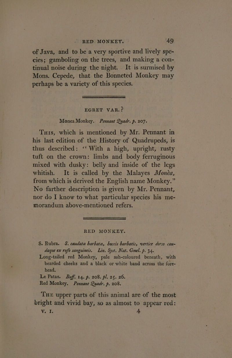 of Java, and to be a very sportive and lively spe- cies; gamboling on the trees, and making a con- tinual noise during the night. It is surmised by Mons. Cepede, that the Bonneted Monkey may perhaps be a variety of this species. EGRET VAR.? Monea Monkey. Pennant Quadr. p. 207. Tuis, which is mentioned by Mr. Pennant in his last edition of the History of Quadrupeds, is thus described: ‘‘ With a high, upright, rusty tuft on the crown: limbs and body ferruginous mixed with dusky: belly and inside of the legs whitish. It is called by the Malayes Monda, from which is derived the English name Monkey.” No farther description is given by Mr. Pennant, nor do I know to what particular species his me- morandum above-mentioned refers. RED MONKEY. S. Rubra. 8. caudata barbata, buccis barbatis, vertice dorso cau- daque ex rufo sanguineis. Lin. Syst. Nat. Gmel. p. 34. Long-tailed red Monkey, pale ash-coloured beneath, with bearded cheeks and a black or white band across the fore- head. Le Patas. Buf. 14. p. 208. pl. 25. 26. Red Monkey. Pennant Quadr. p. 208. THE upper parts of this animal are of the most bright and vivid bay, so as almost to appear red: V. I. A,