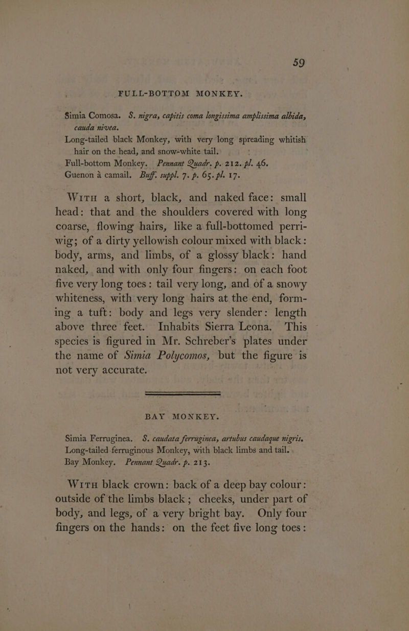 _FULL-BOTTOM MONKEY. Simia Comosa. 8. nigra, capitis coma longissima amplissima albida, cauda nivea. Long-tailed black Monkey, with very long pee whitish hair on the head, and snow-white tail. Full-bottom Monkey. Pennant Quadr. p. 212. pl. 46, Guenon a camail. Bugt suppl. 7. p. 65. pl. 17. WirtuH a short, black, and naked face: small head: that and the shoulders covered with long coarse, flowing’ hairs, like a full-bottomed perri- wig; of a dirty yellowish colour mixed with black : body, arms, and limbs, of a glossy black: hand naked, and with only four fingers: on each foot five very long toes: tail very long, and of a snowy whiteness, with very long hairs at the end, form- ing a tuft: body and legs very slender: length above three feet. Inhabits Sierra Leona. This species is figured in Mr. Schreber’s plates under the name of Simia Polycomos, but the figure is not very accurate. BAY MONKEY. Simia Ferruginea. S. caudata ferruginea, artubus caudaque nigris. Long-tailed ferruginous Monkey, with black limbs and tail. Bay Monkey. Pennant Quadr. p. 213. Wirtu black crown: back of a deep bay colour: outside of the limbs black; cheeks, under part of body, and legs, of a very bright bay. Only four fingers on the hands: on the feet five long toes: