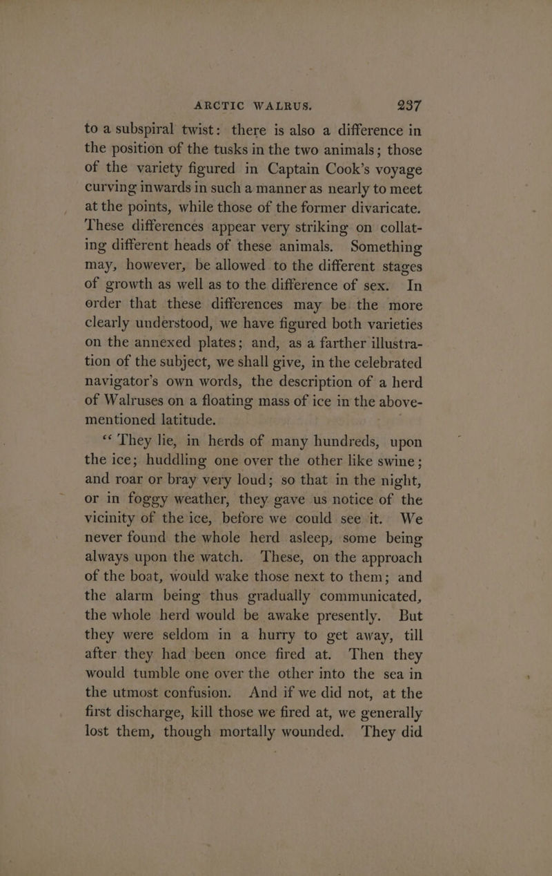 to a subspiral twist: there is also a difference in the position of the tusks in the two animals; those of the variety figured in Captain Cook’s voyage curving inwards in such a manner as nearly to meet at the points, while those of the former divaricate. These differences appear very striking on collat- ing different heads of these animals. Something may, however, be allowed to the different stages of growth as well as to the difference of sex. In order that these differences may be the more clearly understood, we have figured both varieties on the annexed plates; and, as a farther illustra- tion of the subject, we shall give, in the celebrated navigators own words, the description of a herd of Waltuses on a floating mass of ice in the above- mentioned latitude. “* They lie, in herds of many hundreds, upon the ice; huddling one over the other like swine; and roar or bray very loud; so that in the night, or in foggy weather, they gave us notice of the vicinity of the ice, before we could see it. We never found the whole herd asleep, some being always upon the watch. These, on the approach of the boat, would wake those next to them; and the alarm being thus gradually communicated, the whole herd would be awake presently. But they were seldom in a hurry to get away, till after they had been once fired at. Then they would tumble one over the other into the sea in the utmost confusion. And if we did not, at the first discharge, kill those we fired at, we generally lost them, though mortally wounded. ‘They did