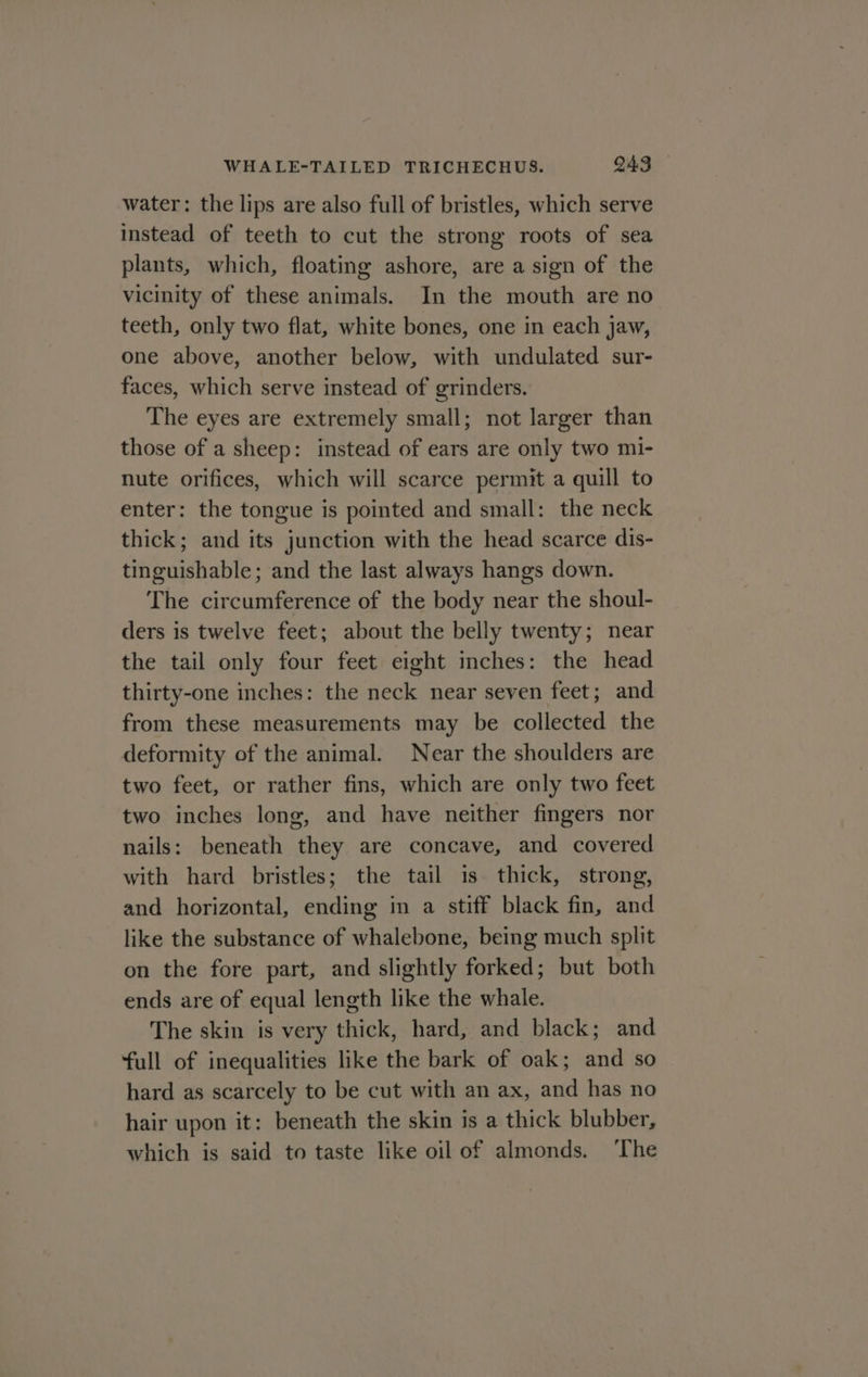 water: the lips are also full of bristles, which serve instead of teeth to cut the strong roots of sea plants, which, floating ashore, are a sign of the vicinity of these animals. In the mouth are no teeth, only two flat, white bones, one in each jaw, one above, another below, with undulated sur- faces, which serve instead of grinders. The eyes are extremely small; not larger than those of a sheep: instead of ears are only two mi- nute orifices, which will scarce permit a quill to enter: the tongue is pointed and small: the neck thick; and its junction with the head scarce dis- tinguishable; and the last always hangs down. The circumference of the body near the shoul- ders is twelve feet; about the belly twenty; near the tail only four feet eight inches: the head thirty-one inches: the neck near seven feet; and from these measurements may be collected the deformity of the animal. Near the shoulders are two feet, or rather fins, which are only two feet two inches long, and have neither fingers nor nails: beneath they are concave, and covered with hard bristles; the tail is thick, strong, and horizontal, ending in a stiff black fin, and like the substance of whalebone, being much split on the fore part, and slightly forked; but both ends are of equal length like the whale. The skin is very thick, hard, and black; and full of inequalities like the bark of oak; and so hard as scarcely to be cut with an ax, and has no hair upon it: beneath the skin is a thick blubber, which is said to taste like oil of almonds. ‘The