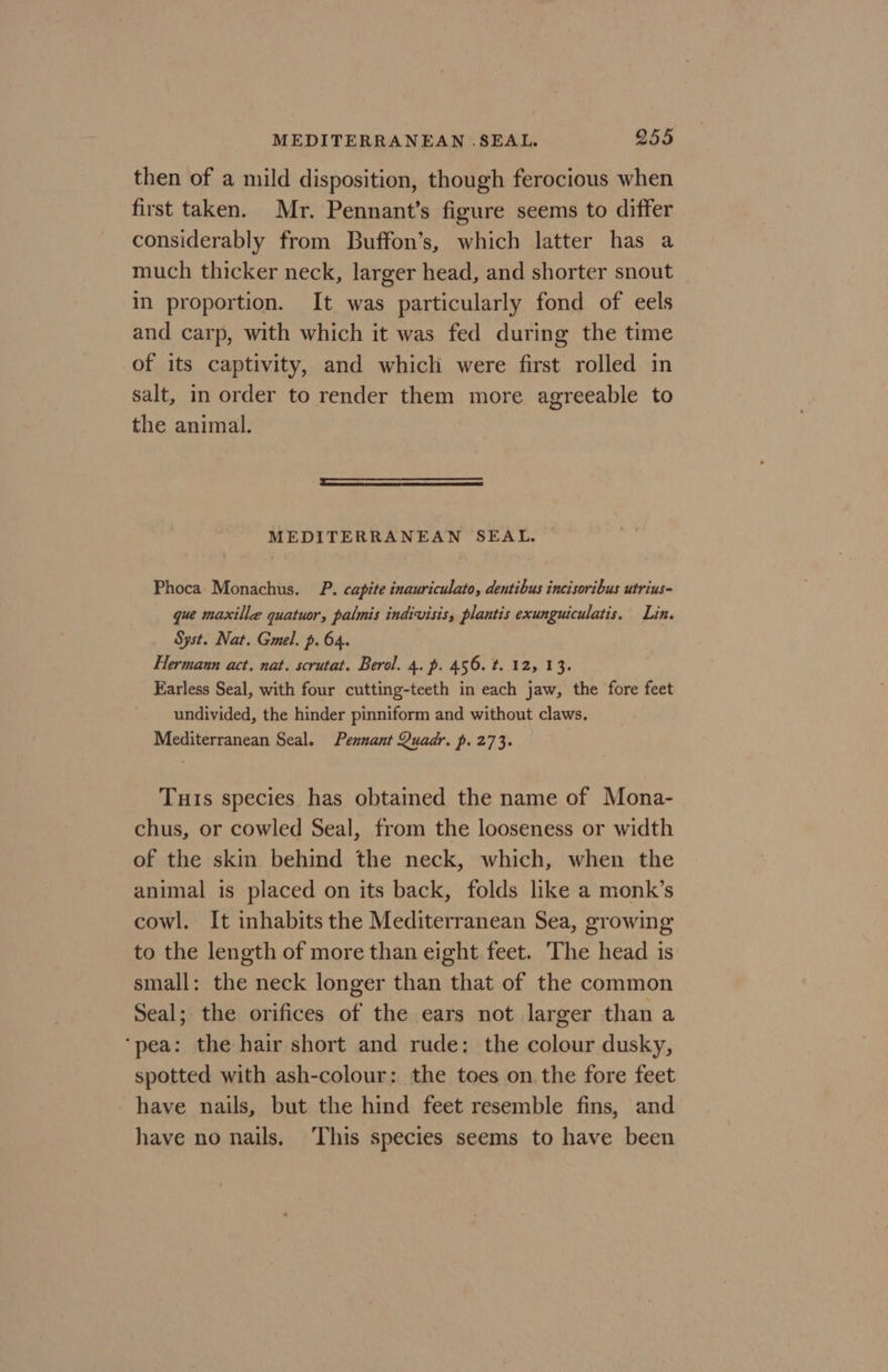 then of a mild disposition, though ferocious when first taken. Mr. Pennant’s figure seems to differ considerably from Buffon’s, which latter has a much thicker neck, larger head, and shorter snout in proportion. It was particularly fond of eels and carp, with which it was fed during the time of its captivity, and which were first rolled in salt, in order to render them more agreeable to the animal. MEDITERRANEAN SEAL. Phoca Monachus. P. capite inauriculato, dentibus incisoribus utrius- que maxilla quatuor, palmis indivisis, plantis exunguiculatis. Lin. Syst. Nat. Gmel. p. 64. Hermann act. nat. scrutat. Berol. 4. p. 456. t. 12, 13. Earless Seal, with four cutting-teeth in each jaw, the fore feet undivided, the hinder pinniform and without claws. Mediterranean Seal. Pennant Quadr. p. 273. Tuts species has obtained the name of Mona- chus, or cowled Seal, from the looseness or width of the skin behind the neck, which, when the animal is placed on its back, folds like a monk’s cowl. It inhabits the Mediterranean Sea, growing to the length of more than eight feet. The head is small: the neck longer than that of the common Seal; the orifices of the ears not larger than a ‘pea: the hair short and rude: the colour dusky, spotted with ash-colour: the toes on the fore feet have nails, but the hind feet resemble fins, and have no nails, This species seems to have been