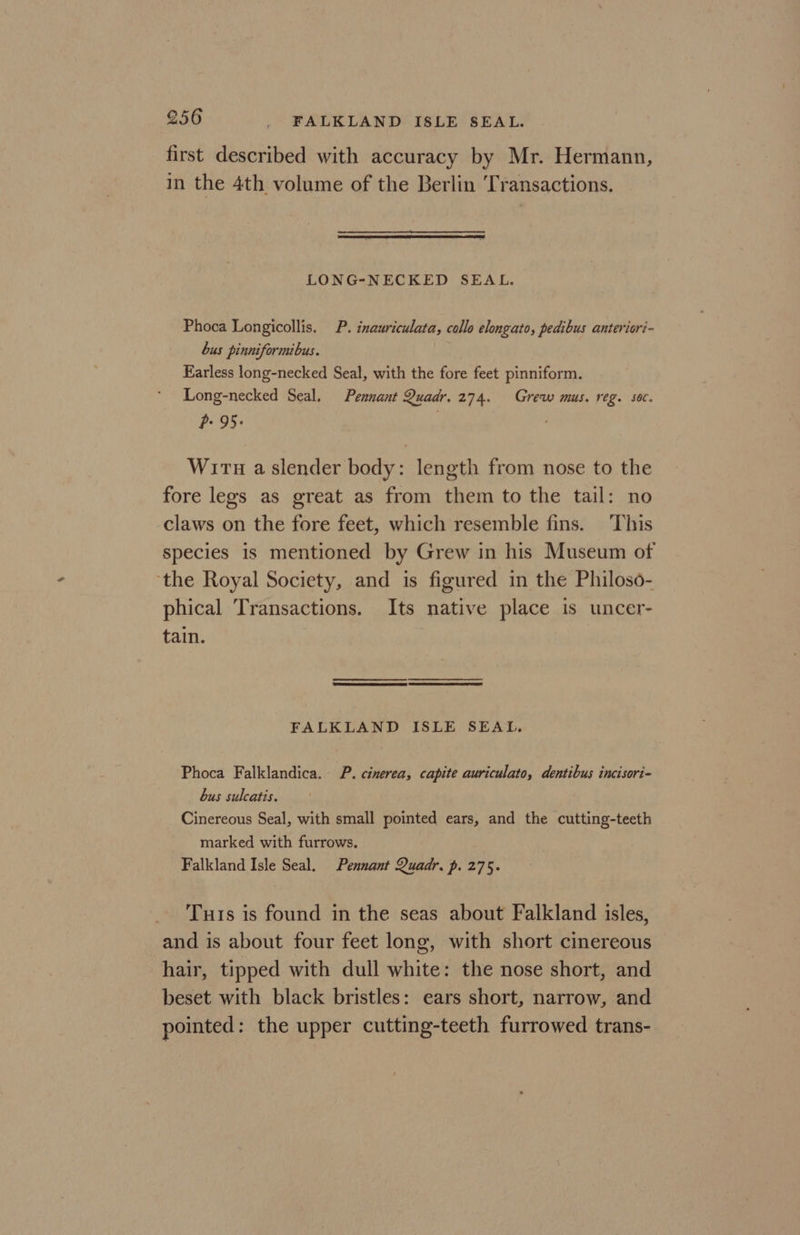 first described with accuracy by Mr. Hermann, in the 4th volume of the Berlin ‘Transactions. LONG-NECKED SEAL. Phoca Longicollis. P. inauriculata, callo elongato, pedibus anteriori- bus pinniformibus. Earless long-necked Seal, with the fore feet pinniform. Long-necked Seal. Pennant Quadr.274. Grew mus. reg. soc. P- 95: Wirt a slender body: length from nose to the fore legs as great as from them to the tail: no claws on the fore feet, which resemble fins. This species is mentioned by Grew in his Museum of ‘the Royal Society, and is figured in the Philoso- phical Transactions. Its native place is uncer- tain. FALKLAND ISLE SEAL. Phoca Falklandica. P. cinerea, capite auriculato, dentibus incisori- bus sulcatis. Cinereous Seal, with small pointed ears, and the cutting-teeth marked with furrows. Falkland Isle Seal. Pennant Quadr. p. 275. Tuts is found in the seas about Falkland isles, and is about four feet long, with short cinereous hair, tipped with dull white: the nose short, and beset with black bristles: ears short, narrow, and pointed: the upper cutting-teeth furrowed trans-