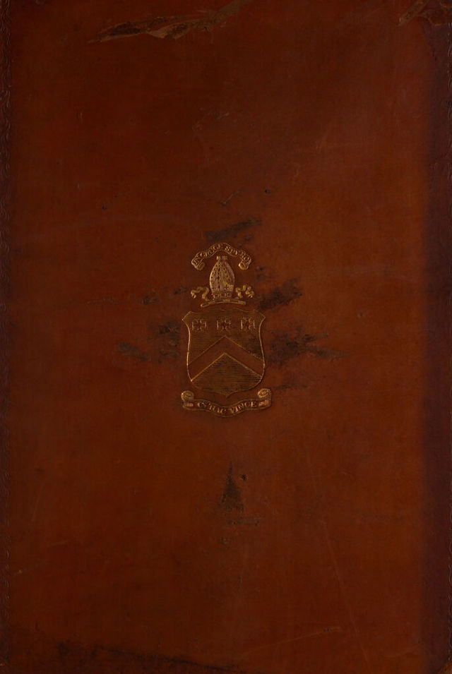 No text description is available for this image