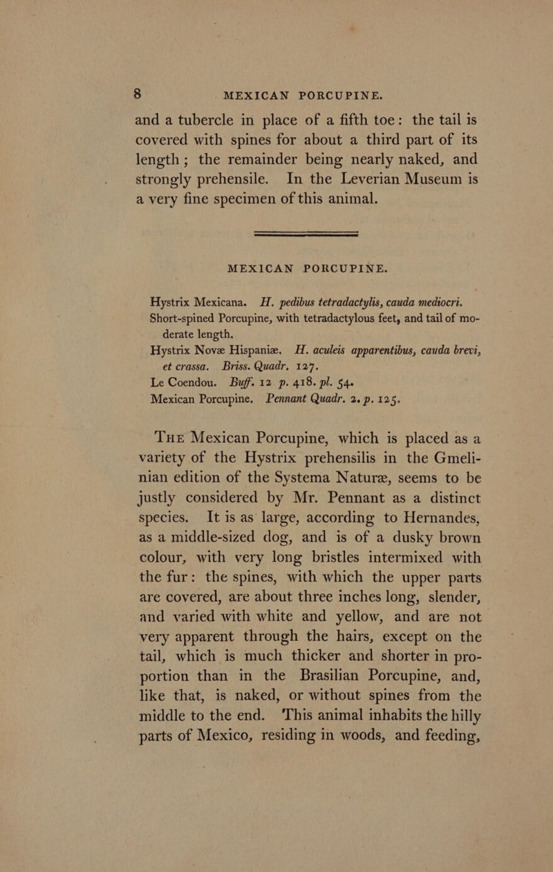 and a tubercle in place of a fifth toe: the tail 1s covered with spines for about a third part of its length ; the remainder being nearly naked, and strongly prehensile. In the Leverian Museum is a very fine specimen of this animal. MEXICAN PORCUPINE. Hystrix Mexicana. HH. pedibus tetradactylis, cauda mediocri. Short-spined Porcupine, with tetradactylous feet, and tail of mo- derate length. Hystrix Nove Hispanie, H. aculeis apparentibus, cauda brevi, et crassa. Briss. Quadr, 127. Le Coendou. Buff. 12 p. 418. pl. 54. Mexican Porcupine. Pennant Quadr. 2. p. 125. Tue Mexican Porcupine, which is placed as a variety of the Hystrix prehensilis in the Gmeli- nian edition of the Systema Nature, seems to be justly considered by Mr. Pennant as a distinct species. It is as large, according to Hernandes, as a middle-sized dog, and is of a dusky brown colour, with very long bristles intermixed with the fur: the spines, with which the upper parts are covered, are about three inches long, slender, and varied with white and yellow, and are not very apparent through the hairs, except on the tail, which is much thicker and shorter in pro- portion than in the Brasilian Porcupine, and, like that, is naked, or without spines from the middle to the end. ‘This animal inhabits the hilly parts of Mexico, residing in woods, and feeding,