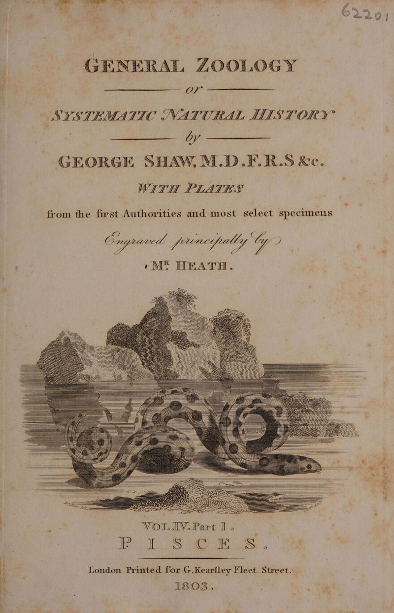 ZOOLOGY OF SYSTEMATIC NAT HITS TORY ey GEORGE SHAW, M.D.F.R.S Xe. WITH PLATES from the first Authorities and most select specimens Ongraved freney tally 4 y | *M® HEATH. ——, \ \ \\ YES: AN PANS — == ww \\ ae \\ AN PIN SSS NRE gre Gy PS es IDI F 2 iis UY YM Py: 6 ae a ee London Printed for G.Kearfley Fleet Street. 1BO3