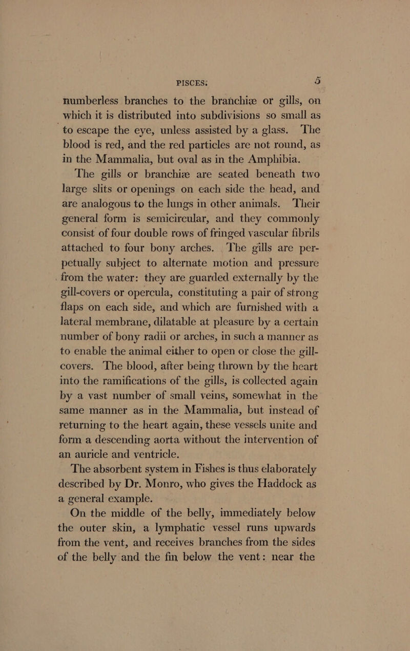 numberless branches to the branchize or gills, on which it is distributed into subdivisions so small as to escape the eye, unless assisted by a glass. The blood is red, and the red particles are not round, as in the Mammalia, but oval as in the Amphibia. The gills or branchize are seated beneath two large slits or openings on each side the head, and are analogous to the lungs in other animals. Their general form is semicircular, and they commonly consist of four double rows of fringed vascular fibrils attached to four bony arches. ‘The gills are per- petually subject to alternate motion and pressure from the water: they are guarded externally by the gill-covers or opercula, constituting a pair of strong flaps on each side, and which are furnished with a lateral membrane, dilatable at pleasure by a certain number of bony radii or arches, in such a manner as to enable the animal either to open or close the gill- covers. The blood, after being thrown by the heart into the ramifications of the gills, is collected again by a vast number of small veins, somewhat in the same manner as in the Mammalia, but instead of returning to the heart again, these vessels unite and form a descending aorta without the intervention of an auricle and ventricle. The absorbent system in Fishes is thus elaborately described by Dr. Monro, who gives the Haddock as a general example. On the middle of the belly, immediately below the outer skin, a lymphatic vessel runs upwards from the vent, and receives branches from the sides of the belly and the fin below the vent: near the