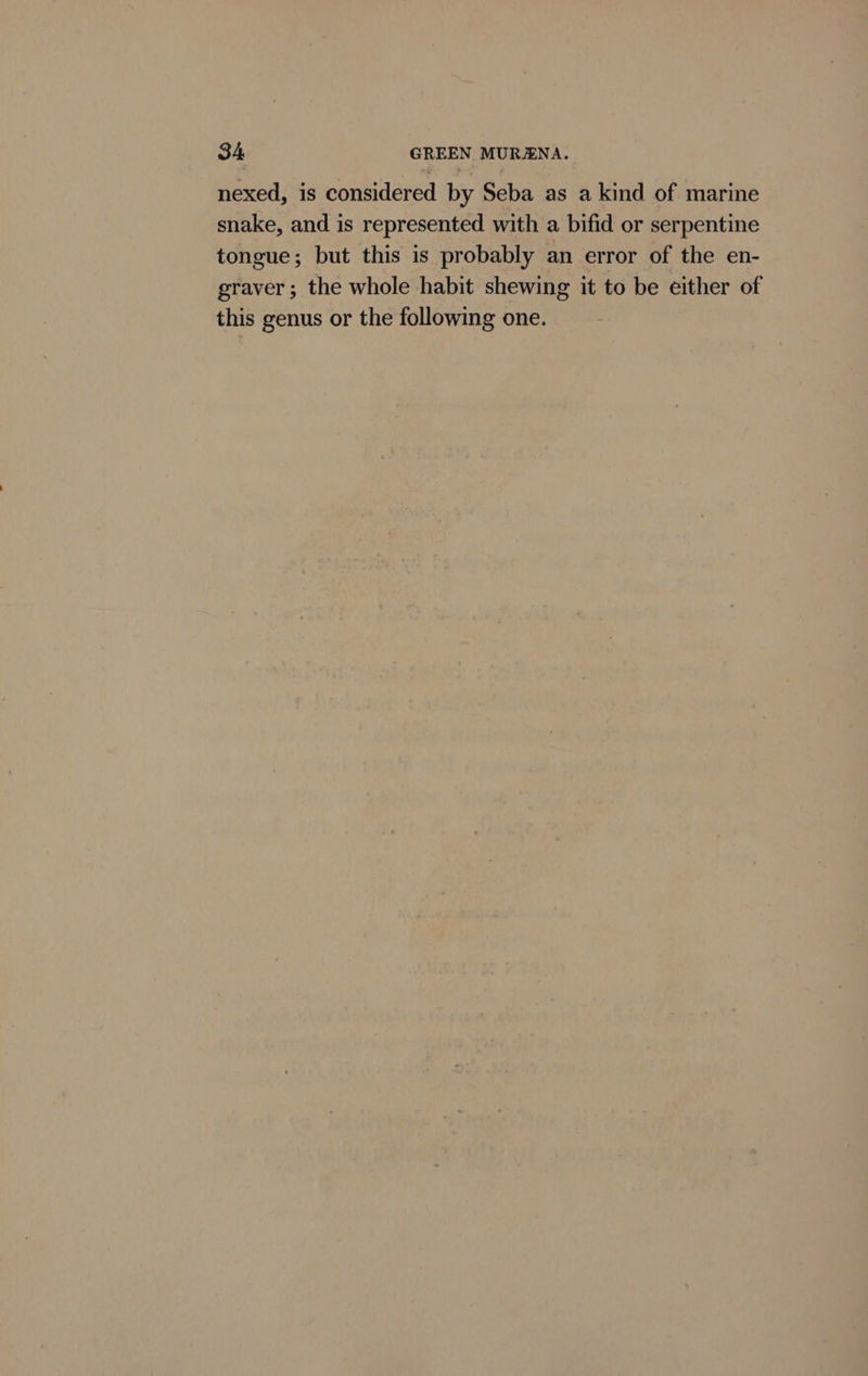 nexed, is considered by Seba as a kind of marine snake, and is represented with a bifid or serpentine tongue; but this is probably an error of the en- graver ; the whole habit shewing it to be either of this genus or the following one.