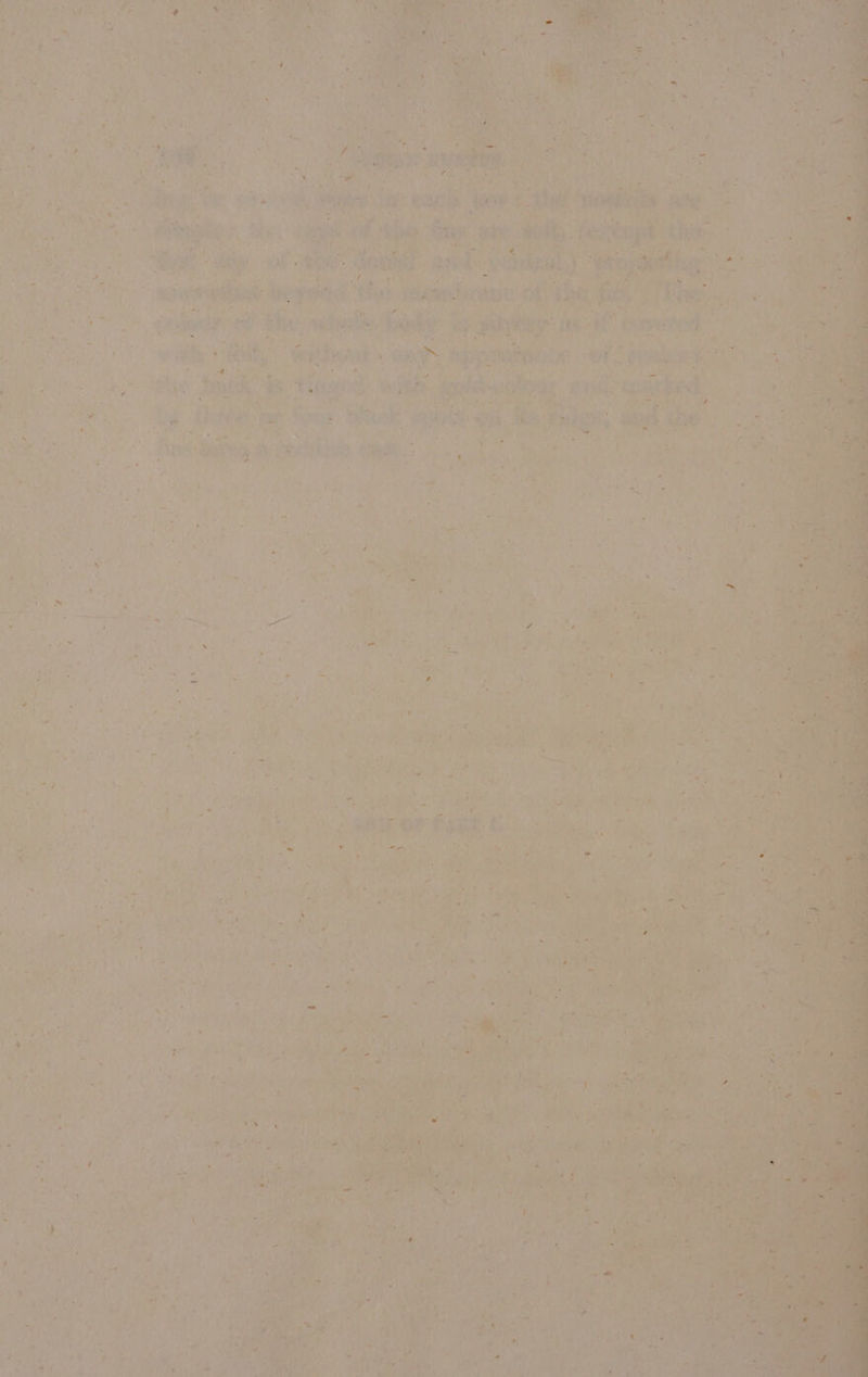 = wi Apipsemmone ef ee : ; : Md eae wee Dig, Kiar: il, gute elem ‘oes i Ata ‘ag fo if paul: ‘BEE OR, Ass ae un eae ans ida ‘ ths &gt;, pean iy nea Ds iy ica hs ee Ki ¢ , 7 mY Vey