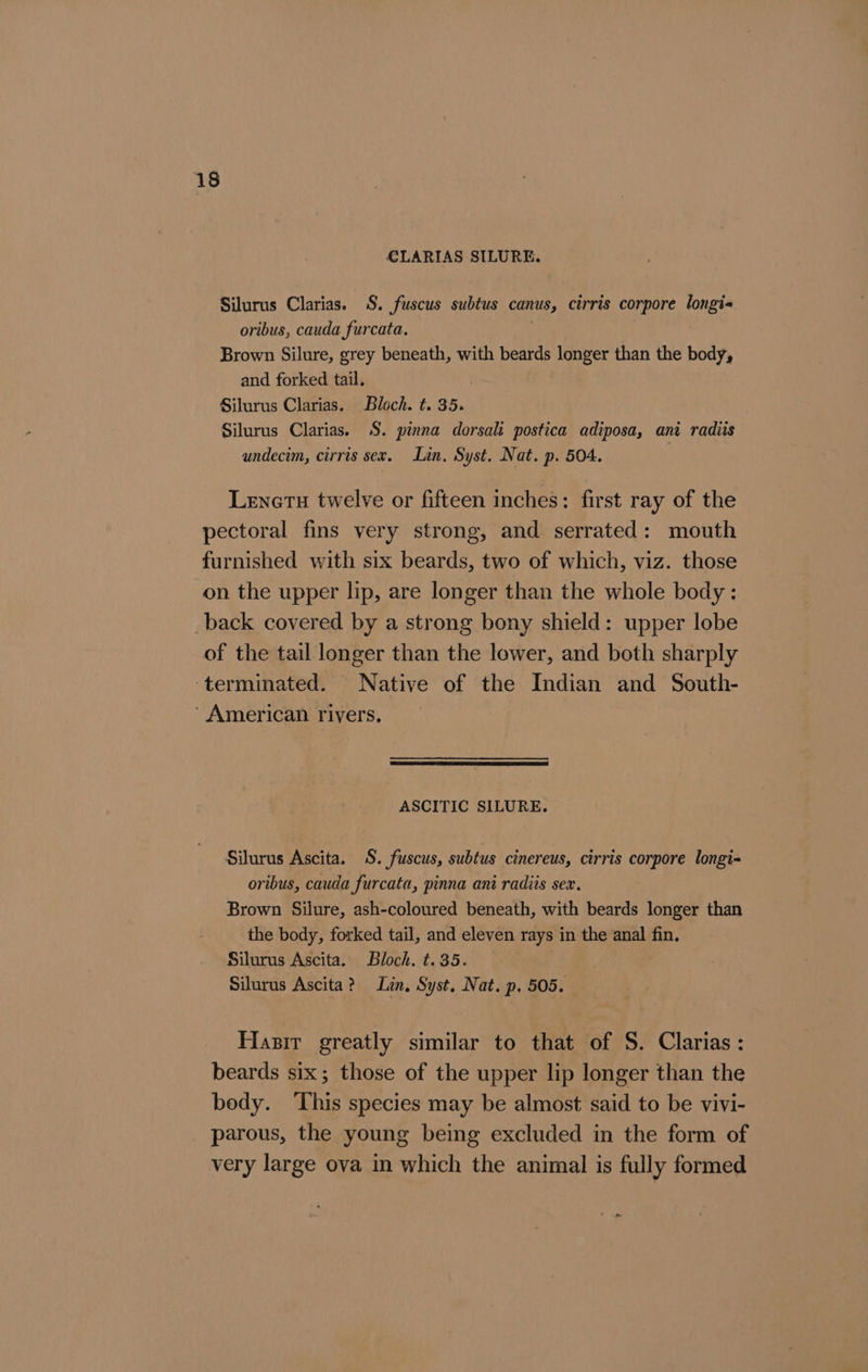 €CLARIAS SILURE. Silurus Clarias. S. fuscus subtus canus, cirris corpore longi oribus, cauda furcata. Brown Silure, grey beneath, with beards longer than the body, and forked tail. Silurus Clarias. Bloch. t. 35. Silurus Clarias. S$. pinna dorsali postica adiposa, ant radits undecim, cirris sex. Lin, Syst. Nat. p. 504. Lenetu twelve or fifteen inches: first ray of the pectoral fins very strong, and serrated: mouth furnished with six beards, two of which, viz. those on the upper lip, are longer than the whole body: _back covered by a strong bony shield: upper lobe of the tail longer than the lower, and both sharply ‘terminated. Native of the Indian and South- ’ American rivers, ASCITIC SILURE. Silurus Ascita. S. fuscus, subtus cinereus, cirris corpore longi- oribus, cauda furcata, pinna ani radiis sex. Brown Silure, ash-coloured beneath, with beards longer than the body, forked tail, and eleven rays in the anal fin. Silurus Ascita. Bloch. t. 35. Silurus Ascita? Lin, Syst. Nat. p. 505. Hasir greatly similar to that of S. Clarias: beards six; those of the upper lip longer than the body. ‘This species may be almost said to be vivi- parous, the young being excluded in the form of very large ova in which the animal is fully formed