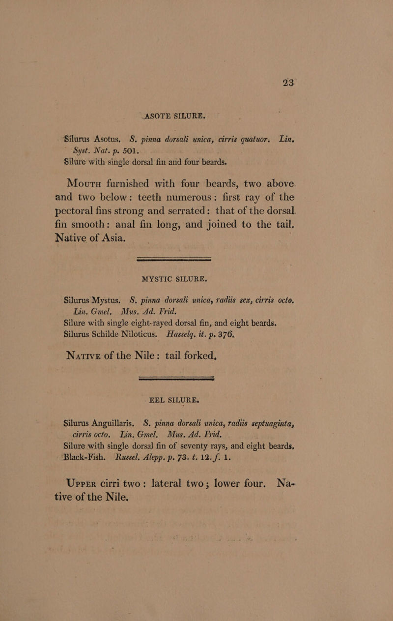 23° ASOTE SILURE. Silurus Asotus, S. pinna dorsali unica, cirris quatuor. Lin. ~ Syst. Nat. p. 501. Silure with single dorsal fin and four beards. Moors furnished with four beards, two above. and two below: teeth numerous: first ray of the pectoral fins strong and serrated: that of the dorsal. fin smooth: anal fin long, and joined to the tail. Native of Asia. | MYSTIC SILURE. Silurus Mystus. S. pinna dorsali unica, radiis sex, cirris octo, Lin. Gmel. Mus. Ad. Frid. Silure with single eight-rayed dorsal fin, and eight beards. Silurus Schilde Niloticus. Hasselq. it. p. 376. Native of the Nile: tail forked. - EEL SILURE, Silurus Anguillaris. S. pinna dorsali unica, radiis septuaginta, cirris octo. Lin. Gmel. Mus. Ad. Frid. Silure with single dorsal fin of seventy rays, and eight beards, Black-Fish. Russel. Alepp. p. 73. t. 12. f. 1. Upper cirri two: lateral two; lower four. Na- tive of the Nile.