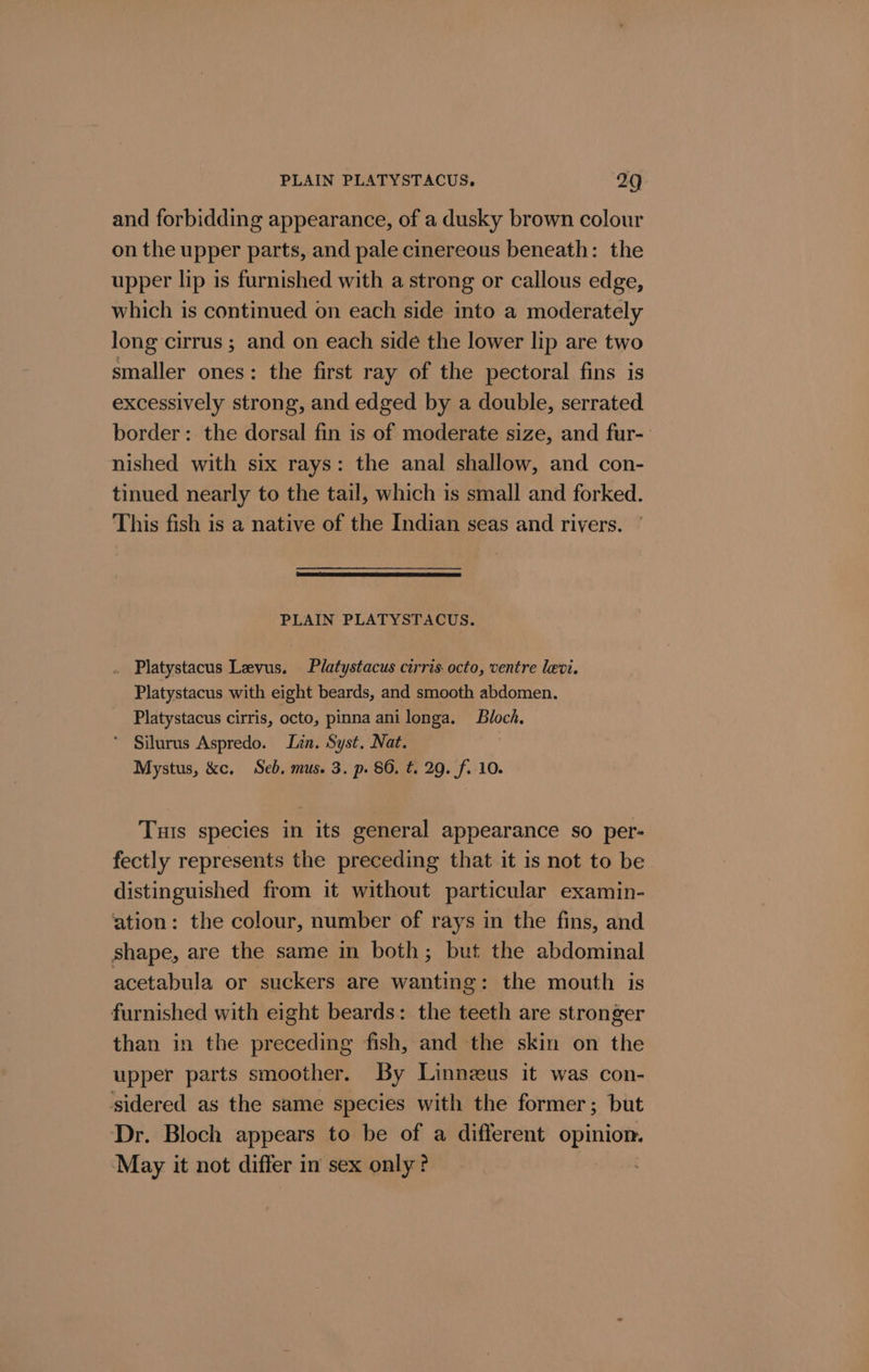 PLAIN PLATYSTACUS, 2Q and forbidding appearance, of a dusky brown colour on the upper parts, and pale cinereous beneath: the upper lip is furnished with a strong or callous edge, which is continued on each side into a moderately long cirrus ; and on each sidé the lower lip are two smaller ones: the first ray of the pectoral fins is excessively strong, and edged by a double, serrated border: the dorsal fin is of moderate size, and fur- nished with six rays: the anal shallow, and con- tinued nearly to the tail, which is small and forked. This fish is a native of the Indian seas and rivers. PLAIN PLATYSTACUS. _ Platystacus Levus. Platystacus cirris- octo, ventre levi. Platystacus with eight beards, and smooth abdomen. Platystacus cirris, octo, pinna anilonga. Bloch. * Silurus Aspredo. Lin. Syst. Nat. Mystus, &amp;c. Seb. mus. 3. p. 86. t. 29. f. 10. Tuts species in its general appearance so per- fectly represents the preceding that it is not to be distinguished from it without particular examin- ation: the colour, number of rays in the fins, and shape, are the same in both; but the abdominal acetabula or suckers are wanting: the mouth is furnished with eight beards: the teeth are stronger than in the preceding fish, and the skin on the upper parts smoother. By Linnzeus it was con- sidered as the same species with the former; but Dr. Bloch appears to be of a different opinion. ‘May it not differ in sex only? |