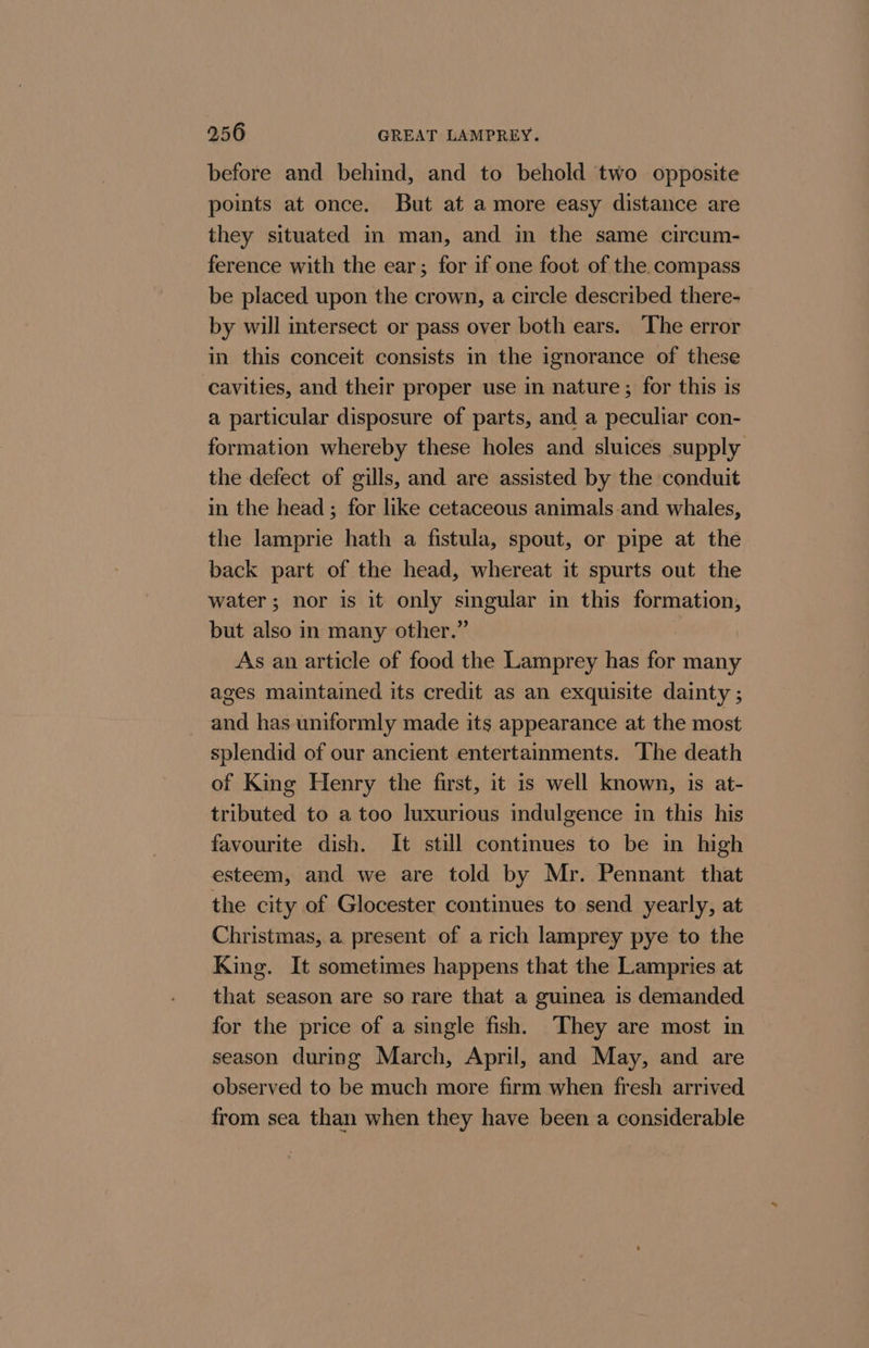 before and behind, and to behold two opposite points at once. But at a more easy distance are they situated in man, and in the same circum- ference with the ear; for if one foot of the compass be placed upon the crown, a circle described there- by will intersect or pass over both ears. The error in this conceit consists in the ignorance of these cavities, and their proper use in nature ; for this is a particular disposure of parts, and a peculiar con- formation whereby these holes and sluices supply the defect of gills, and are assisted by the conduit in the head ; for like cetaceous animals-and whales, the lamprie hath a fistula, spout, or pipe at the back part of the head, whereat it spurts out the water; nor is it only singular in this formation, but also in many other.” As an article of food the Lamprey has for many ages maintained its credit as an exquisite dainty ; and has uniformly made its appearance at the most splendid of our ancient entertainments. The death of King Henry the first, it is well known, is at- tributed to a too luxurious indulgence in this his favourite dish. It still continues to be in high esteem, and we are told by Mr. Pennant that the city of Glocester continues to send yearly, at Christmas, a present of a rich lamprey pye to the King. It sometimes happens that the Lampries at that season are so rare that a guinea is demanded for the price of a single fish. ‘They are most in season during March, April, and May, and are observed to be much more firm when fresh arrived from sea than when they have been a considerable