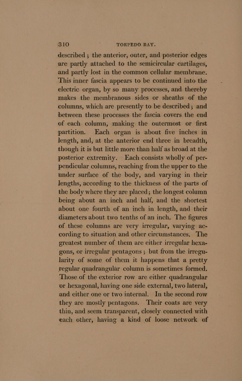 described ; the anterior, outer, and posterior edges are partly attached to the semicircular cartilages, and partly lost in the common cellular membrane. This inner fascia appears to be continued into the electric organ, by so many processes, and. thereby makes the membranous sides or sheaths of the columns, which are presently to be described ; and between these processes the fascia covers the end of each column, making the outermost or first partition. Each organ is about five inches in length, and, at the anterior end three in breadth, though it is but little more than half as broad at the posterior extremity. Each consists wholly of per- pendicular columns, reaching from the upper to the under surface of the body, and varying in their lengths, according to the thickness of the parts of the body where they are placed; the longest column being about an inch and half, and the shortest about one fourth of an inch in length, and their diameters about two tenths of an inch. The figures of these columns are very irregular, varying ac- cording to situation and other circumstances, ‘The greatest number of them are either irregular hexa- gons, or irregular pentagons ; but from the irregu- larity of some of them it happens that a pretty regular quadrangular column is sometimes formed. Those of the exterior row are either quadrangular or hexagonal, having one side external, two lateral, and either one or two internal. In the second row they are mostly pentagons. ‘Their coats are very thin, and seem transparent, closely connected with each other, having a kind of loose network of