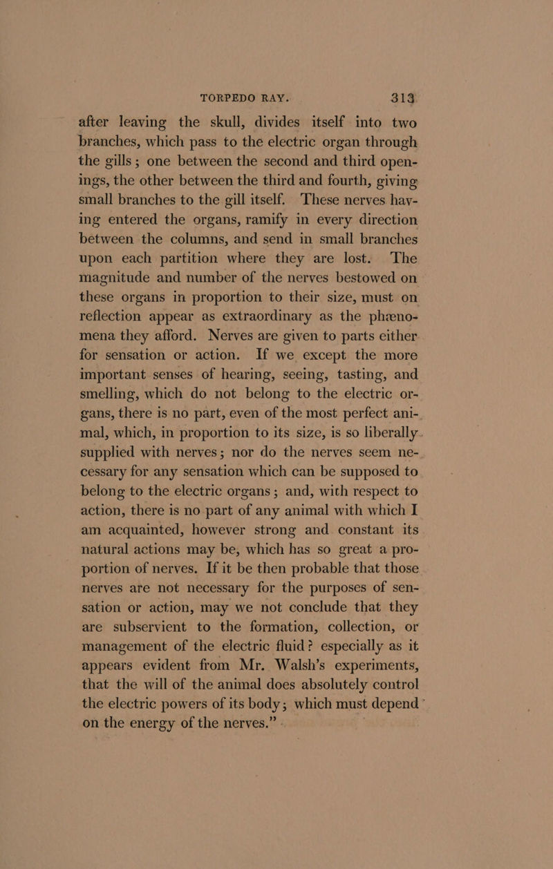 after leaving the skull, divides itself into two branches, which pass to the electric organ through the gills ; one between the second and third open- ings, the other between the third and fourth, giving small branches to the gill itself. These nerves hay- ing entered the organs, ramify in every direction between the columns, and send in small branches upon each partition where they are lost. The magnitude and number of the nerves bestowed on — these organs in proportion to their size, must on reflection appear as extraordinary as the phzeno- mena they afford. Nerves are given to parts either for sensation or action. If we except the more important senses of hearing, seeing, tasting, and smelling, which do not belong to the electric or- gans, there is no part, even of the most perfect ani-. mal, which, in proportion to its size, is so liberally. supplied with nerves; nor do the nerves seem ne- cessary for any sensation which can be supposed to belong to the electric organs; and, with respect to action, there is no part of any animal with which I am acquainted, however strong and constant its natural actions may be, which has so great a pro- portion of nerves. If it be then probable that those nerves are not necessary for the purposes of sen- sation or action, may we not conclude that they are subservient to the formation, collection, or management of the electric fluid? especially as it appears evident from Mr. Walsh’s experiments, that the will of the animal does absolutely control the electric powers of its ne which must depend | on the energy of the nerves.’