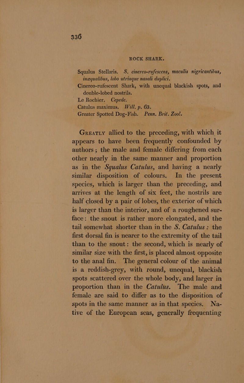 ROCK SHARK. Squalus Stellaris. S. cinereo-rufescens, maculis nigricantibus, inequalibus, lobo utrinque nasal duplici. Cinereo-rufescent Shark, with unequal blackish spots, and double-lobed nostrils. | - Le Rochier. Cepede. _ Catulus maximus. Will. p. 63. Greater Spotted Dog-Fish. Penn. Brit. Zool. Greatty allied to the preceding, with which it appears to have been frequently confounded by authors ; the male and female differing from each other nearly in the same manner and proportion as in the Squalus Catulus, and having a nearly similar disposition of colours. In the present species, which is larger than the preceding, and arrives at the length of six feet, the nostrils are half closed by a pair of lobes, the exterior of which is larger than the interior, and of a roughened sur- face: the snout is rather more elongated, and the tail somewhat shorter than in the S. Catulus: the first dorsal fin is nearer to the extremity of the tail than to the snout: the second, which is nearly of similar size with the first, is placed almost opposite to the anal fin. The general colour of the animal is a reddish-grey, with round, unequal, blackish spots scattered over the whole body, and larger in proportion than in the Catulus. The male and female are said to differ as to the disposition of spots in the same manner as in that species. Na- tive of the European seas, generally frequenting
