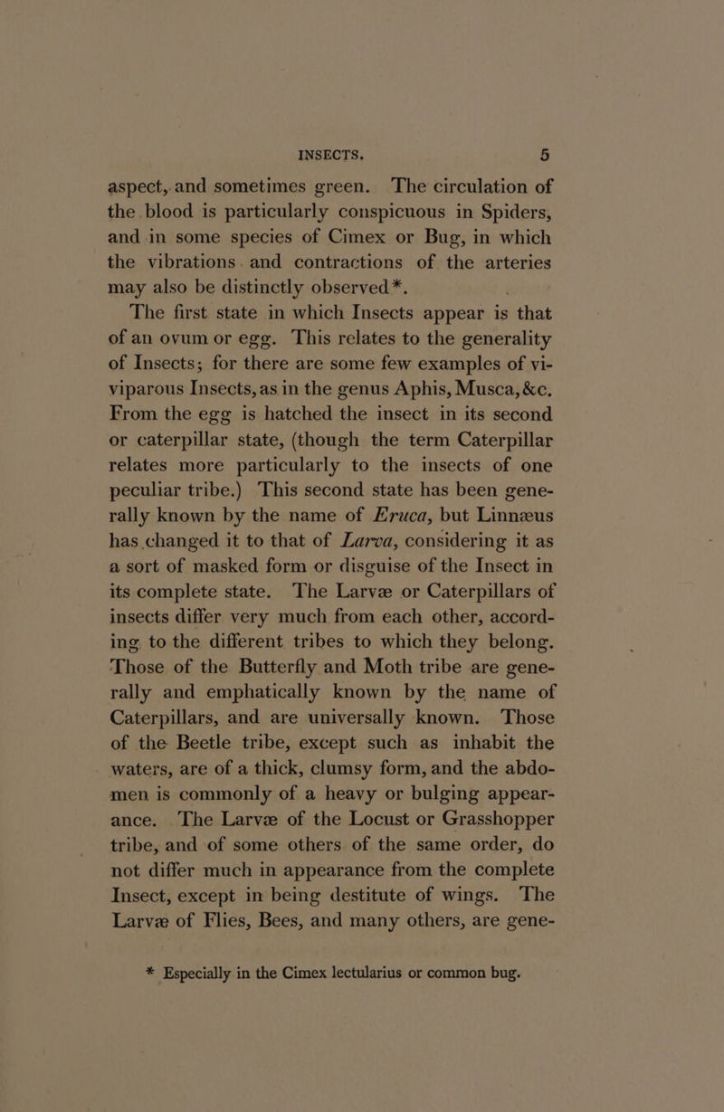 aspect,.and sometimes green. The circulation of the blood is particularly conspicuous in Spiders, and in some species of Cimex or Bug, in which the vibrations. and contractions of the arteries may also be distinctly observed *. | The first state in which Insects appear is that of an ovum or egg. This relates to the generality of Insects; for there are some few examples of vi- viparous Insects, as in the genus Aphis, Musca, &amp;c. From the egg is hatched the insect in its second or caterpillar state, (though the term Caterpillar relates more particularly to the insects of one peculiar tribe.) This second state has been gene- rally known by the name of Hruca, but Linnzeus has changed it to that of Larva, considering it as a sort of masked form or disguise of the Insect in its complete state. The Larve or Caterpillars of insects differ very much from each other, accord- ing to the different tribes to which they belong. Those of the Butterfly and Moth tribe are gene- rally and emphatically known by the name of Caterpillars, and are universally known. Those of the Beetle tribe, except such as inhabit the - waters, are of a thick, clumsy form, and the abdo- men is commonly of a heavy or bulging appear- ance. The Larve of the Locust or Grasshopper tribe, and of some others of the same order, do not differ much in appearance from the complete Insect, except in being destitute of wings. The Larve of Flies, Bees, and many others, are gene- * Especially in the Cimex lectularius or common bug.