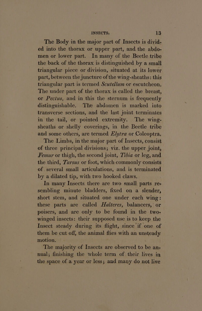 The Body in the major part of Insects is divid- ed into the thorax or upper part, and the abdo- men or lower part. In many of the Beetle tribe the back of the thorax is distinguished by a small triangular piece or division, situated at its lower part, between the juncture of the wing-sheaths: this triangular part is termed Scutel/um or escutcheon, The under part of the thorax is called the breast, or Pectus, and in this the sternum is frequently distinguishable. The abdomen is marked into transverse sections, and the Jast joint terminates in the tail, or pointed extremity. The wing- sheaths or shelly coverings, in the Beetle tribe and some others, are termed Elytra or Coleoptra, The Limbs, in the major part of Insects, consist of three principal divisions; viz. the upper joint, Femur or thigh, the second joint, Tibia or leg, and the third, Tarsus or foot, which commonly consists of several small articulations, and is terminated by a dilated tip, with two hooked claws. In many Insects. there are two small, parts re- sembling minute bladders, fixed on a slender, short stem, and situated one under each wing: these parts are called Halteres, balancers, or poisers, and are only to be found in the two- winged insects: their supposed use is to keep the Insect steady during its flight, since if one of them be cut off, the animal flies with an unsteady motion. | The majority of Insects are observed to be an- nual; finishing the whole term of their lives in the space of .a year or less; and many do not live