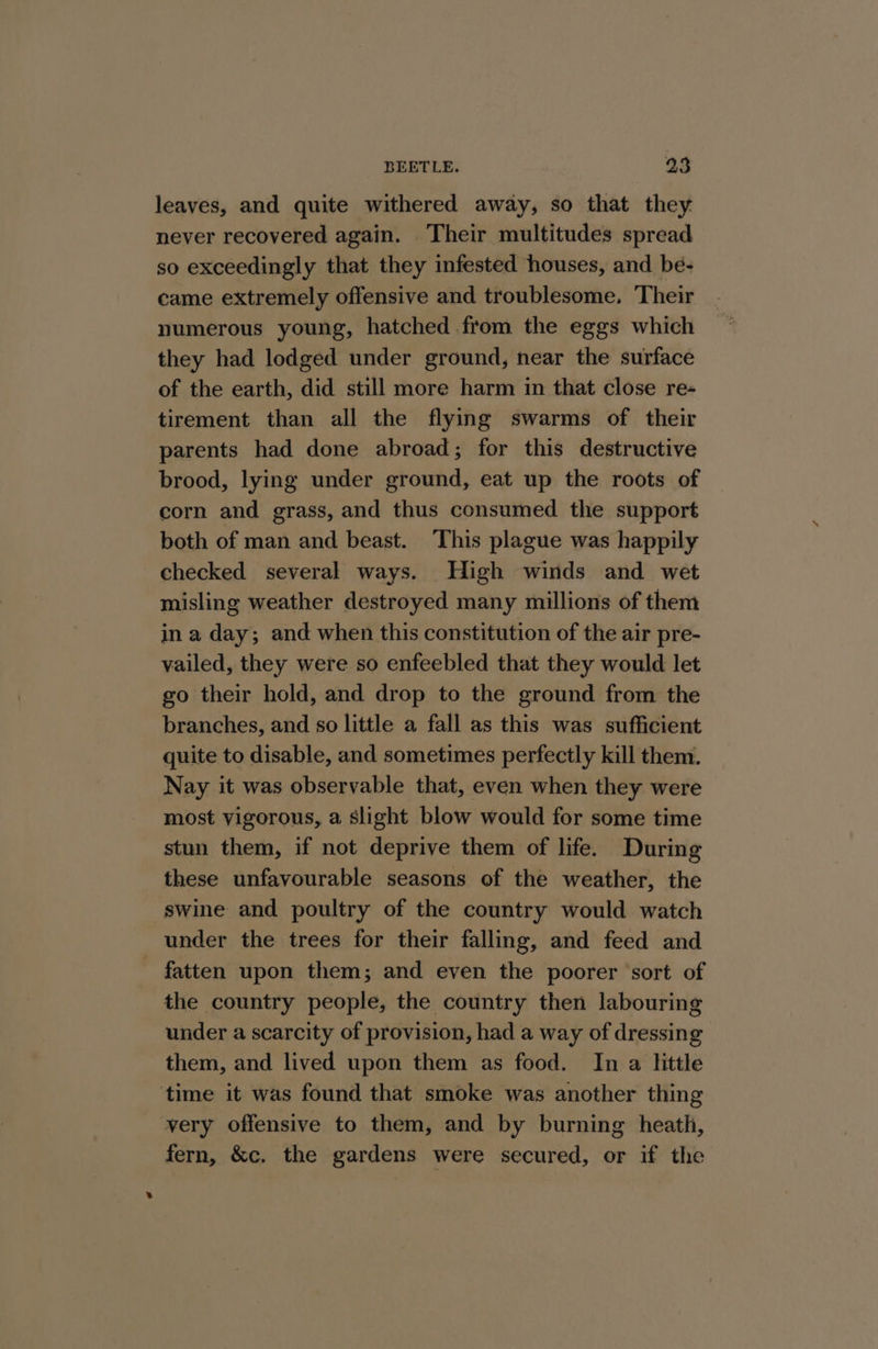 leaves, and quite withered away, so that they never recovered again. Their multitudes spread so exceedingly that they infested houses, and be- came extremely offensive and troublesome. Their numerous young, hatched from the eggs which they had lodged under ground, near the surface of the earth, did still more harm in that close re- tirement than all the flying swarms of their parents had done abroad; for this destructive brood, lying under ground, eat up the roots of corn and grass, and thus consumed the support both of man and beast. This plague was happily checked several ways. High winds and wet misling weather destroyed many millions of them in a day; and when this constitution of the air pre- vailed, they were so enfeebled that they would let go their hold, and drop to the ground from the branches, and so little a fall as this was sufficient quite to disable, and sometimes perfectly kill them. Nay it was observable that, even when they were most vigorous, a slight blow would for some time stun them, if not deprive them of life. During these unfavourable seasons of the weather, the swine and poultry of the country would watch under the trees for their falling, and feed and - fatten upon them; and even the poorer ‘sort of the country people, the country then labouring under a scarcity of provision, had a way of dressing them, and lived upon them as food. In a little time it was found that smoke was another thing very offensive to them, and by burning heath, fern, &amp;c. the gardens were secured, or if the