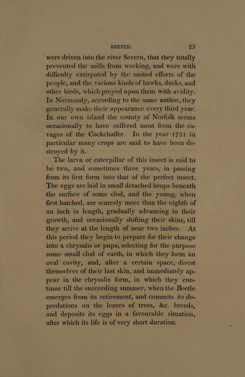 “were driven into the river Severn, that they totally prevented the mills from working, and were with difficulty extirpated by the united efforts of the people, and the various kinds of hawks, ducks, and other birds, which preyed upon them with avidity. In Normandy, according to the same author, they generally make their appearance every third year. In our own island the county of Norfolk seems occasionally to have suffered most from. the ra- ~vages of the Cockchaffer. In the year 1751 in particular many crops are said to have been de- stroyed by it. _ The larva or caterpillar of this insect is said to be two, and sometimes three years, in passing from its first form into that of the perfect insect. The eggs are laid in small detached heaps beneath the surface of some clod, and the young, when - first hatched, are scarcely more than the eighth of an inch in length, gradually advancing in their growth, and occasionally shifting their skins, till they arrive at the length of near two inches. At this period they begin to prepare for their change into a chrysalis or pupa, selecting for the purpose some small clod of earth, in which they form an oval cavity, and, after a certain space, divest themselves of their last skin, and immediately ap- pear in the chrysalis form, in which they con- tinue till the succeeding summer, when the Beetle emerges from its retirement, and commits its de- predations on the leaves of trees, &amp;c. breeds, and deposits its eggs in a favourable situation, after which its life is of very short duration.