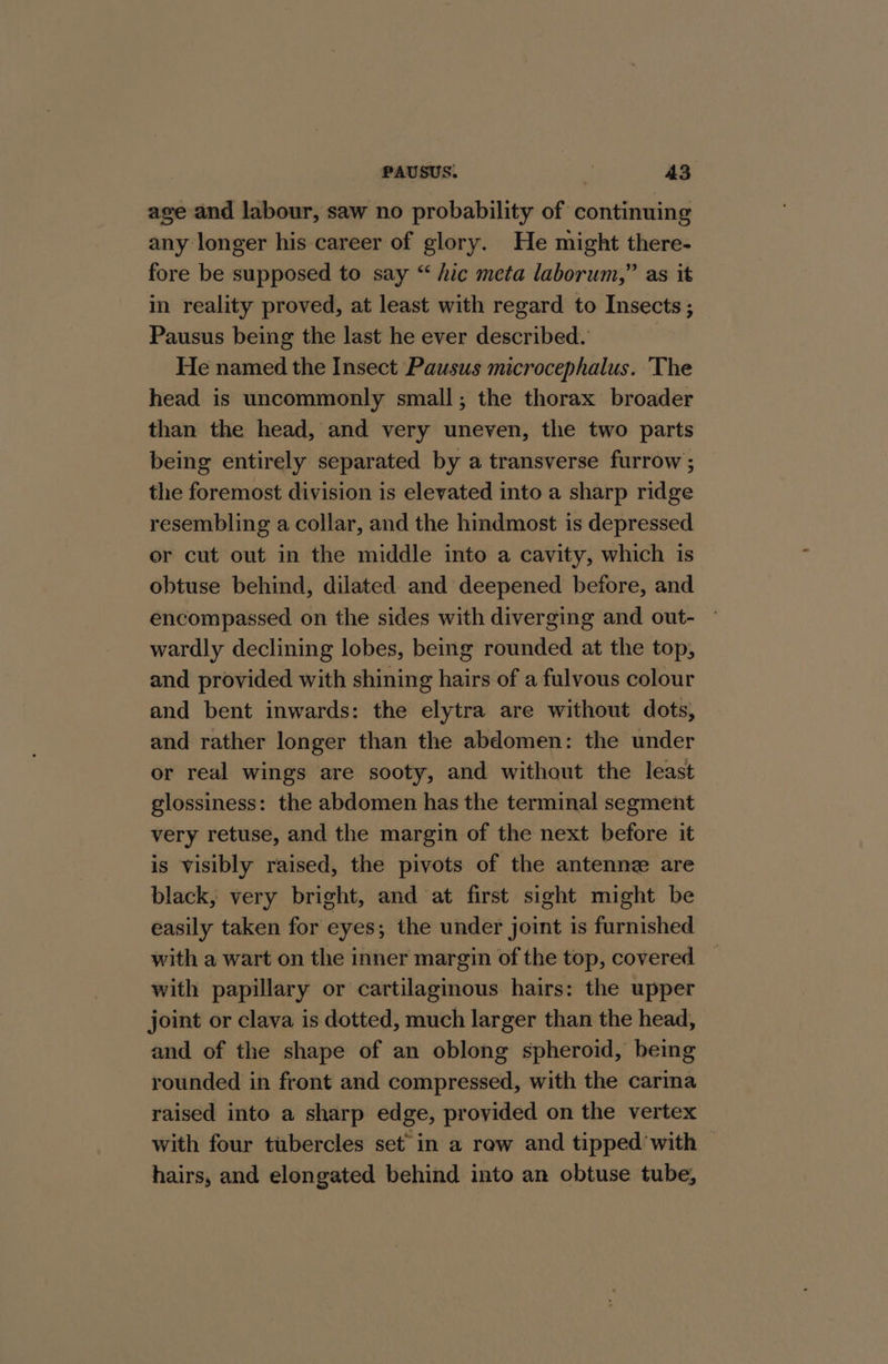 age and labour, saw no probability of continuing any longer his career of glory. He might there- fore be supposed to say “ hic meta laborum,” as it in reality proved, at least with regard to Insects; Pausus being the last he ever described. He named the Insect Pausus microcephalus. The head is uncommonly small; the thorax broader than the head, and very uneven, the two parts being entirely separated by a transverse furrow ; the foremost division is elevated into a sharp ridge resembling a collar, and the hindmost is depressed er cut out in the middle into a cavity, which is obtuse behind, dilated and deepened before, and encompassed on the sides with diverging and out- wardly declining lobes, being rounded at the top, and provided with shining hairs of a fulvous colour and bent inwards: the elytra are without dots, and rather longer than the abdomen: the under or real wings are sooty, and without the least glossiness: the abdomen has the terminal segment very retuse, and the margin of the next before it is visibly raised, the pivots of the antennz are black, very bright, and at first sight might be easily taken for eyes; the under joint is furnished with a wart on the inner margin of the top, covered _ with papillary or cartilaginous hairs: the upper joint or clava is dotted, much larger than the head, and of the shape of an oblong spheroid, being rounded in front and compressed, with the carina raised into a sharp edge, provided on the vertex with four tubercles set’ in a rew and tipped’with — hairs, and elongated behind into an obtuse tube,