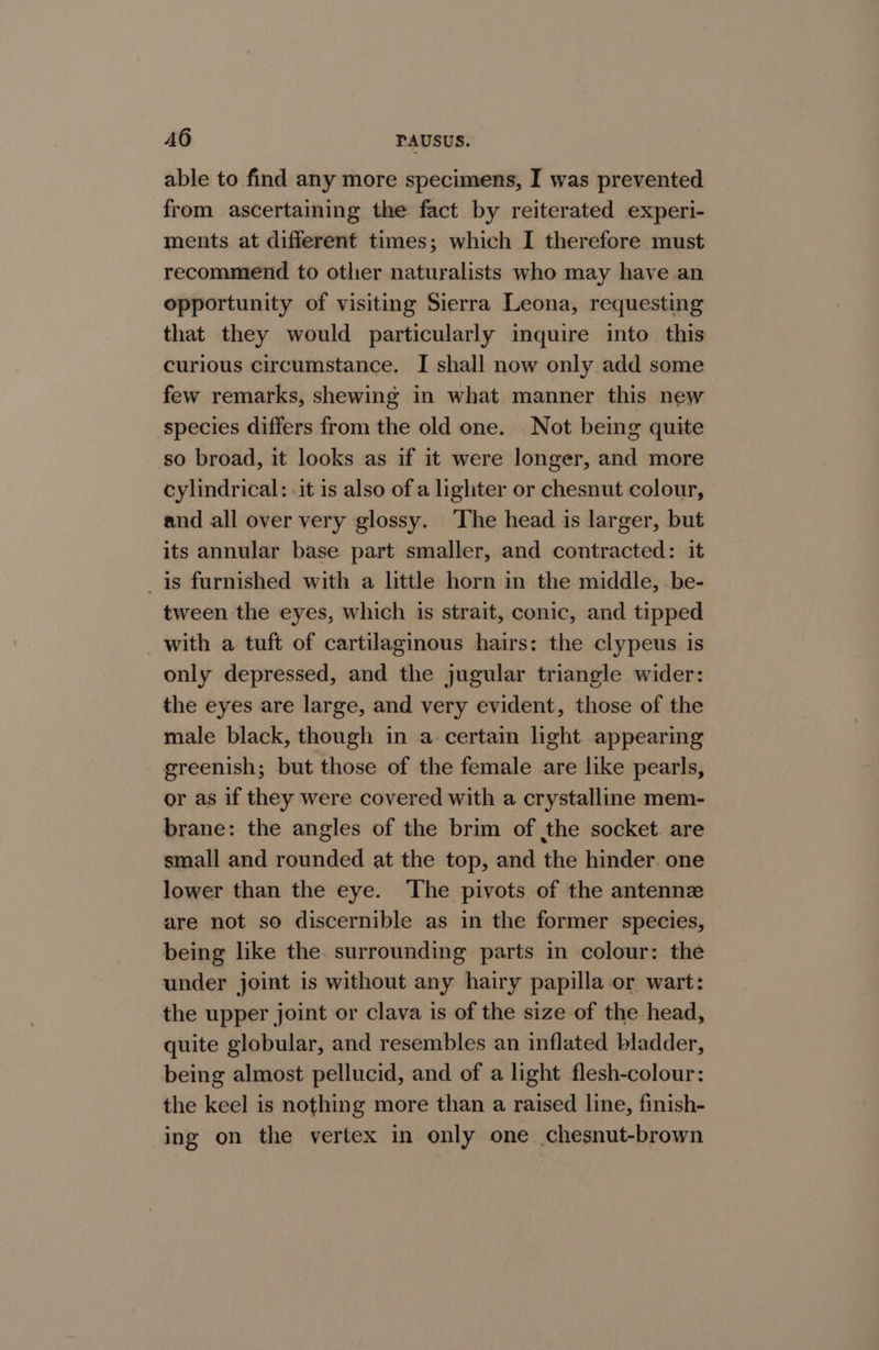 A6 PAUSUS. able to find any more specimens, I was prevented from ascertaining the fact by reiterated experi- ments at different times; which I therefore must recommend to other naturalists who may have an opportunity of visiting Sierra Leona, requesting that they would particularly inquire into this curious circumstance. I shall now only add some few remarks, shewing in what manner this new species differs from the old one. Not being quite so broad, it looks as if it were longer, and more cylindrical: .it is also of a lighter or chesnut colour, and all over very glossy. The head is larger, but its annular base part smaller, and contracted: it is furnished with a little horn in the middle, be- tween the eyes, which is strait, conic, and tipped _ with a tuft of cartilaginous hairs: the clypeus is only depressed, and the jugular triangle wider: the eyes are large, and very evident, those of the male black, though in a certain light appearing greenish; but those of the female are like pearls, or as if they were covered with a crystalline mem- brane: the angles of the brim of the socket. are small and rounded at the top, and the hinder one lower than the eye. The pivots of the antennz are not so discernible as in the former species, being like the surrounding parts in colour: the under joint is without any hairy papilla or, wart: the upper joint or clava is of the size of the head, quite globular, and resembles an inflated bladder, being almost pellucid, and of a light flesh-colour: the keel is nothing more than a raised line, finish- ing on the vertex in only one chesnut-brown