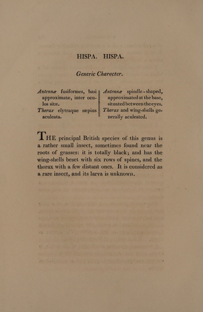 HISPA. HISPA. Generic Character. Antenne fusiformes, basi || Antenne spindle-shaped, approximate, inter ocu- approximated at the base, los site. situated between theeyes. Thorax elytraque sepius || Thorax and wing-shiells ge- aculeata. nerally aculeated. Tue principal British species of this genus is a rather small insect, sometimes found near the roots of grasses: it is totally black; and has the wing-shells beset with six rows of spines, and the thorax with a few distant ones. It is considered as a rare insect, and its larva is unknown.