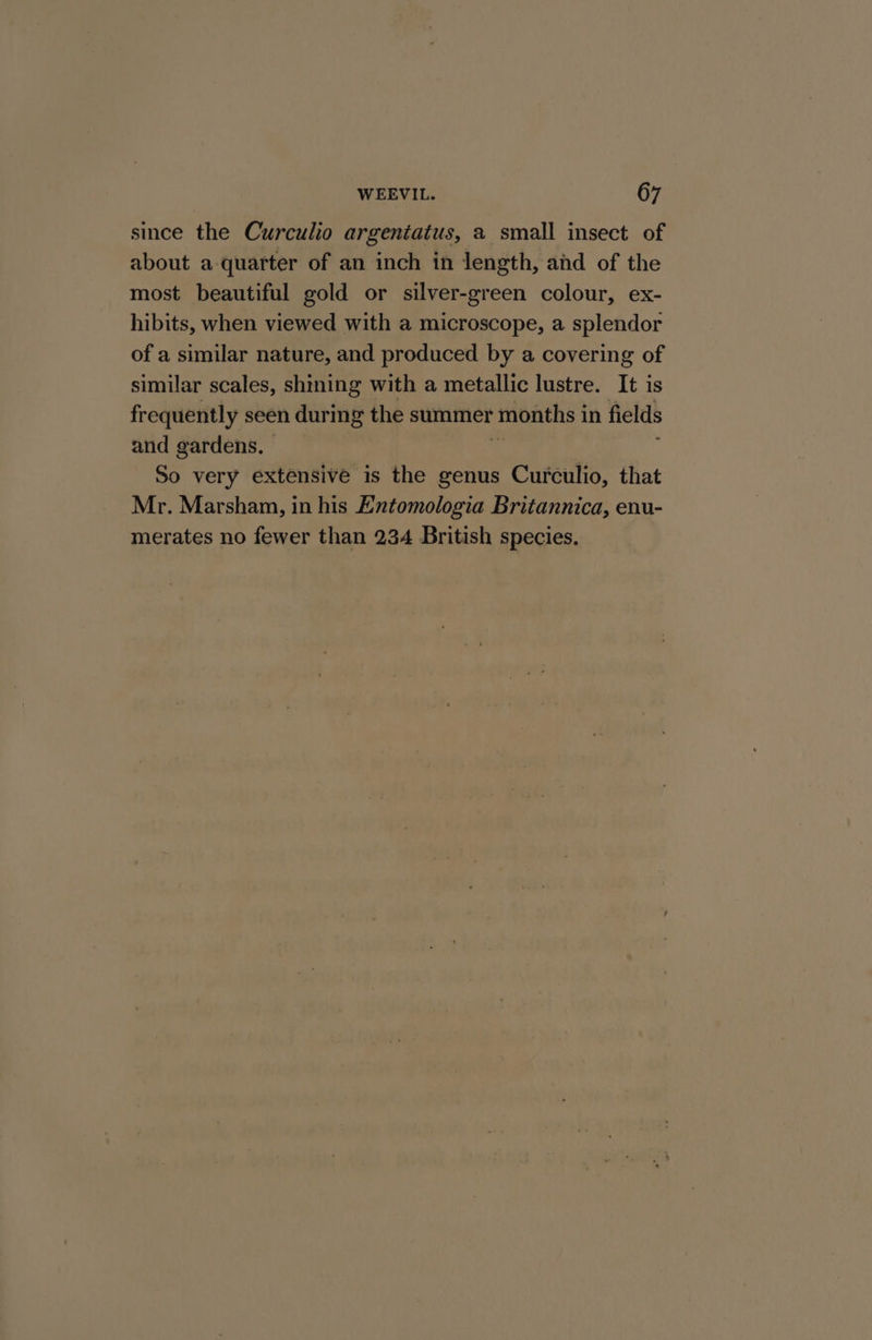 since the Curculio argeniatus, a small insect of about a quarter of an inch in length, and of the most beautiful gold or silver-green colour, ex- hibits, when viewed with a microscope, a splendor of a similar nature, and produced by a covering of similar scales, shining with a metallic lustre. It is frequently seen during the summer months in fields and gardens, | : So very extensive is the genus Curculio, that Mr. Marsham, in his Entomologia Britannica, enu- merates no fewer than 234 British species,