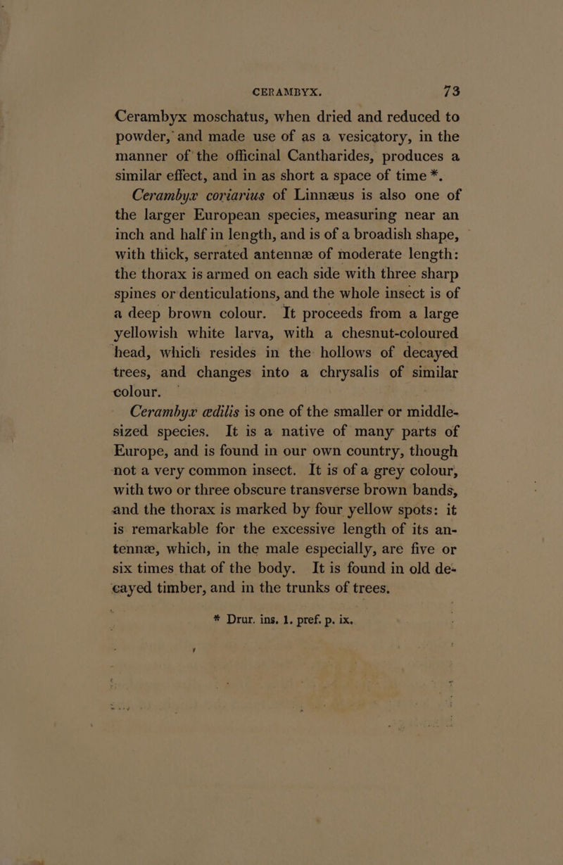 Cerambyx moschatus, when dried and reduced to powder, and made use of as a vesicatory, in the manner of the officinal Cantharides, produces a similar effect, and in as short a space of time *. Cerambyx coriarius of Linnzeus is also one of the larger European species, measuring near an inch and half in length, and is of a broadish shape, with thick, serrated antenne of moderate length: the thorax is armed on each side with three sharp spines or denticulations, and the whole insect is of a deep brown colour. It proceeds from a large yellowish white larva, with a chesnut-coloured head, which resides in the hollows of decayed trees, and changes into a chrysalis of ong colour. — Ceramh, yt edilis is one of the smaller or middle- sized species. It is a native of many parts of Europe, and is found in our own country, though not a very common insect. It is of a grey colour, with two or three obscure transverse brown bands, and the thorax is marked by four yellow spots: it is remarkable for the excessive length of its an- tenn, which, in the male especially, are five or six times that of the body. It is found in old de- eayed timber, and in the trunks of trees. * Drur. ins, 1. pref. p. ix.