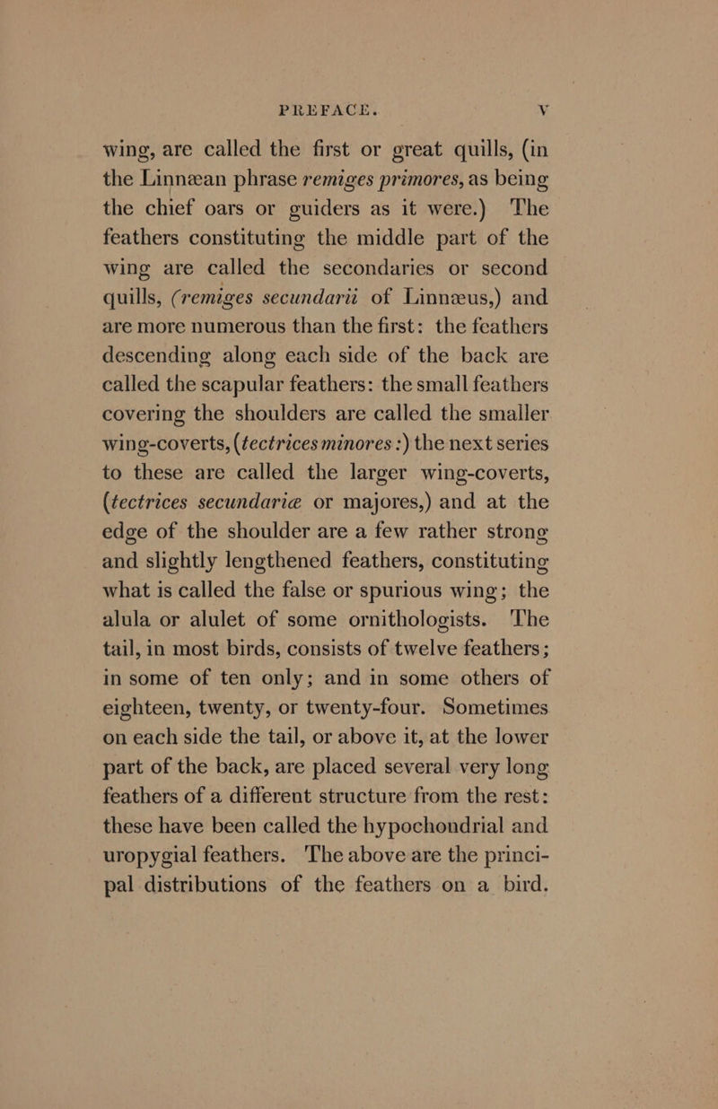 wing, are called the first or great quills, (in the Linnzan phrase remiges primores, as being the chief oars or guiders as it were.) The feathers constituting the middle part of the wing are called the secondaries or second quills, ¢ remiges secundari of Linnzeus,) and are more numerous than the first: the feathers descending along each side of the back are called the scapular feathers: the small feathers covering the shoulders are called the smaller wing-coverts, (¢ectrices minores :) the next series to these are called the larger wing-coverts, (tectrices secundarié or majores,) and at the edge of the shoulder are a few rather strong and slightly lengthened feathers, constituting what is called the false or spurious wing; the alula or alulet of some ornithologists. ‘The tail, in most birds, consists of twelve feathers ; in some of ten only; and in some others of eighteen, twenty, or twenty-four. Sometimes on each side the tail, or above it, at the lower part of the back, are placed several very long feathers of a different structure from the rest: these have been called the hypochondrial and uropygial feathers. The above are the princi- pal distributions of the feathers on a_ bird.