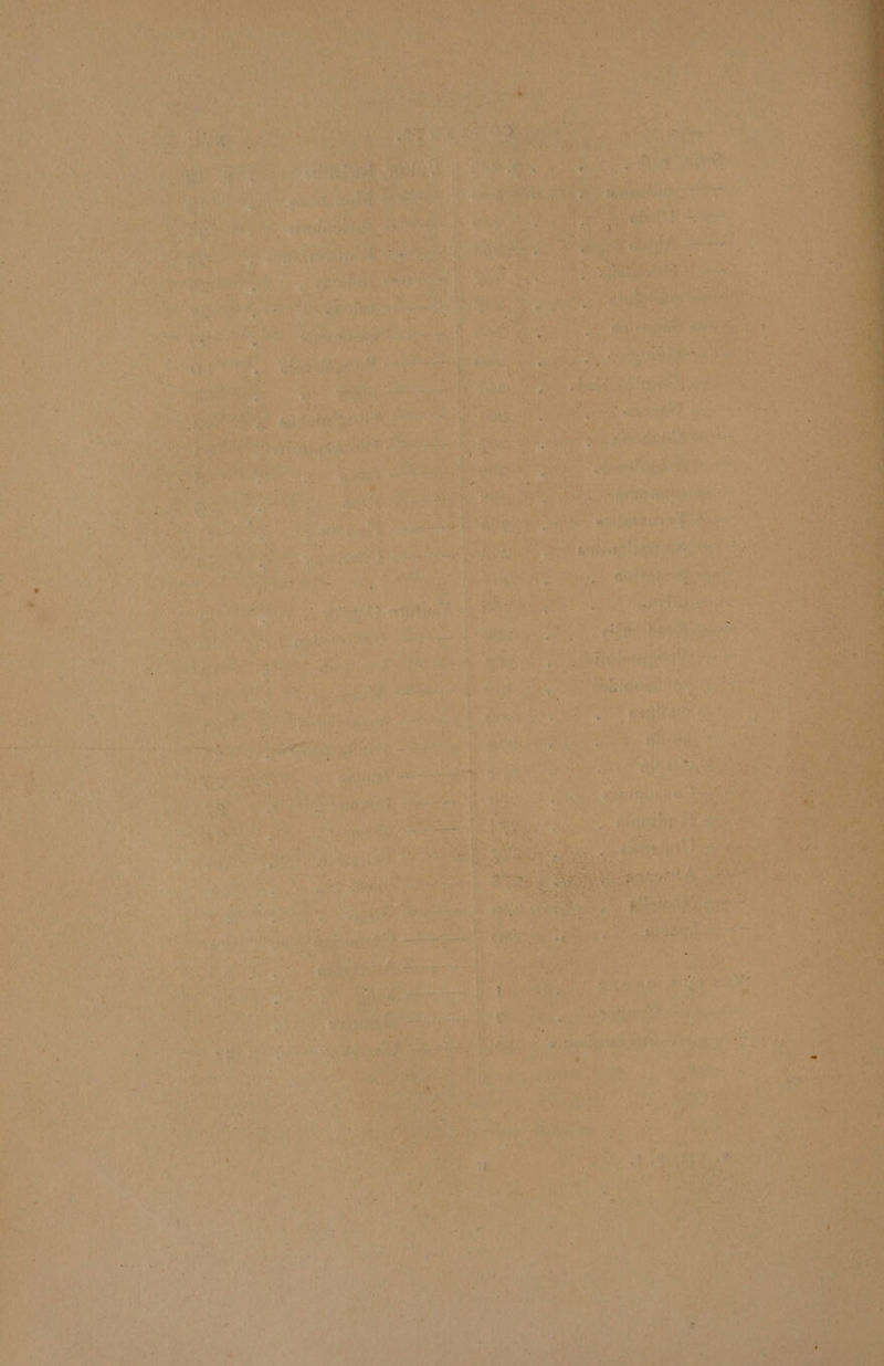 Pylae ath we ; . x “1 5 m ' y a = a: aA A ‘¢ , ; % . ° em { Pe), a _ re j vA rk t ins Soe eas. a ok , aes tie Side biel ik ee od Y ete een i we SAAR nats os “ x. ; ’ APE Rh ee oe ne A ‘ ; Ps F ‘ Pt itt ae , wea ie ie} ey \ : k eR 4 r i i ‘i es ay ’ ya “7 fay &gt; -, “ ‘ VAhane oe oh Te an s A et ‘ aS r ha Nis a or cis s oe tog! me aes yee SN a. BITE ect te ’ eure anges os ” : me ae, te ‘ ig on ‘ Ree Fy co RUN Bees - i - } : Pi ct : ate as i Le aie ¥ o Ms eaves ry) AWA 4 f eae