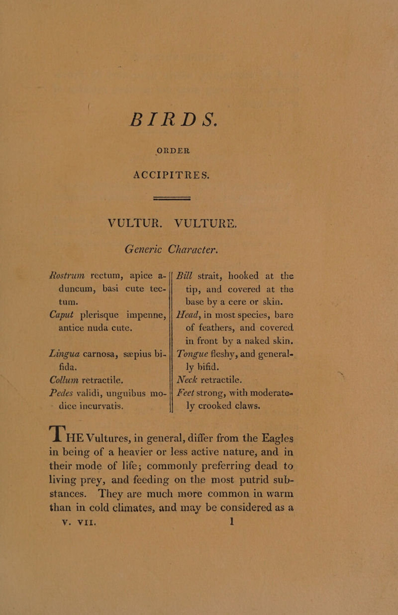 BIRDS. ACCIPITRES. VULTUR. VULTURE. Generic Character. Rostrum rectum, apice a-({| Bill strait, hooked at the duncum, basi cute tec-|] tip, and covered at the tum. base by a cere or skin. Caput plerisque impenne, || /Zead, in most species, bare antice nuda cute. of feathers, and covered. in front by a naked skin. Lingua carnosa, sepius bi- || Tongue fleshy, and general- fida. ly bifid. Collum retractile. Neck retractile. - Pedes validi, unguibus mo- || Feet strong, with moderate- - dice incurvatis. ly crooked claws. Tue Vultures, in general, differ from the Eagles in being of a heavier or less active nature, and in their mode of life; commonly preferring dead to living prey, and feeding on the most putrid sub- stances. They are much more common in warm than in cold climates, and may be considered as a