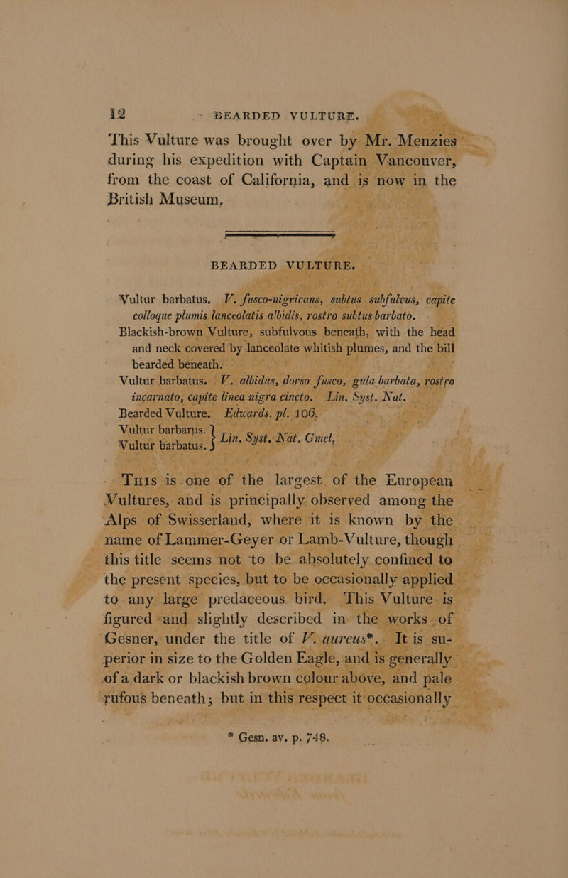 This Vulture was brought over by Mr. M ae during his expedition with Capt from the coast of California, and is now i i the British Museum, ¢ ” colloque plumis lar Blackish-brown \ eens cael ir der the title “sd Bs au reus® , i ae rior ir - ‘ ; : wien ay. p: 748. . te gg 007 Me it V4 Ge 8) CL MCE AAs ATS A eure)