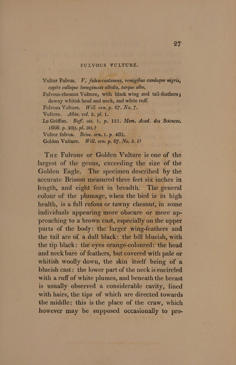 27 FULVOUS VULTURE. Vultur Fulvus. V. fulvo-castaneus, remigibus candaque nigris, capite colloque lanuginosis albidis, torque albo. Fulvous-chesnut Vulture, with black wing and tail-feathers ; downy whitish head and neck, and white ruff. Fulvous Vulture. Will. orn. p. 67. No. 7. Vulture. Albin. vol. 3. pl. 1. Le Griffon. Buff. ois. 1. p. 151. Mem. Acad. des Sciences, 1666. p. 209. pl. 30.2 : Vultur fulvus. Briss. orn. 1. p. 462. Golden Vulture. Will. orn. p. 67. No. 5.2? Tue Fulvous or Golden Vulture is one of the largest of the genus, exceeding the size of the Golden Eagle. The specimen described by the accurate Brisson measured three feet six inches in length, and eight feet in breadth. The general colour of the plumage, when the bird is in high health, is a full rufous or tawny chesnut, in some individuals appearing more obscure or more ap- proaching to a brown cast, ‘especially on the upper parts of the body: the larger. wing-feathers and the tail are of a dull black: the bill blueish, with the tip black: the eyes orange-coloured: the head and neck bare of feathers, but covered with pale or whitish woolly down, the skin itself. being of a blueish cast: the lower part of the neck is encircled with aruff of white plumes, and beneath the breast is usually observed a considerable cavity, lined with hairs, the tips of which are directed towards the middle: this is the place of the craw, which however may be supposed occasionally to pro-