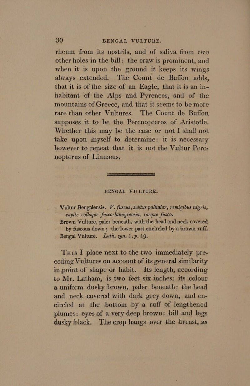 rheum from its nostrils, and of saliva from two other holes in the bill: the craw is prominent, and when it is upon the ground it keeps its wings always extended. The Count de Buffon adds, that it is of the size of an Eagle, that it is an in- habitant of the Alps and Pyrenees, and of the mountains of Greece, and that it seems to be more rare than other Vultures. The Count de Buffon supposes it to be the Percnopteros of Aristotle. Whether this may be the case or not I shall not take upon myself to determine: it is necessary however to repeat that it is not the Vultur Perc- nopterus of Linnzeus, BENGAL VULTURE. Vultur Bengalensis. V’. fuscus, subtus pallidior, remigibus nigris, capite colloque fusco-lanuginosis, torque fusco. Brown Vulture, paler beneath, with the head and neck covered - by fuscous down; the lower part encircled by a brown ruff. Bengal Vulture. Lata. syn. 1.p. 19. Turis I place next to the two immediately pre- ceding Vultures on account of its general similarity in point of shape or habit. Its length, according to Mr. Latham, is two feet six inches: its colour a uniform dusky brown, paler beneath: the head and neck covered with dark grey down, and en- circled at the bottom by a ruff of lengthened plumes: eyes of a very-deep brown: bill and legs dusky black. The crop hangs over the -breast, as