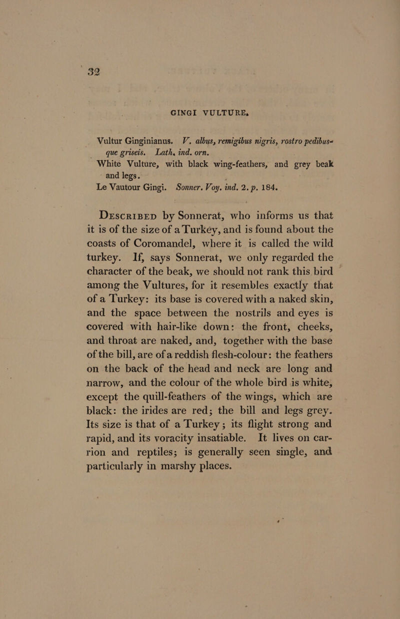 Vultur Ginginianus. V. albus, remigibus nigris, rostro pedibus« que griseis. Lath, ind. orn. White Vulture, with black wing-feathers, and grey beak and legs. , Le Vautour Gingi. Sonner. Voy. ind. 2. p. 184. DescriBep by Sonnerat, who informs us that it is of the size of a Turkey, and is found about the coasts of Coromandel, where it is called the wild turkey. If, says Sonnerat, we only regarded the character of the beak, we should not rank this bird © among the Vultures, for it resembles exactly that of a Turkey: its base is covered with a naked skin, and the space between the nostrils and eyes is covered with hair-like down: the front, cheeks, and throat are naked, and, together with the base of the bill, are of a reddish flesh-colour: the feathers on the back of the head and neck are long and narrow, and the colour of the whole bird is white, except the quill-feathers of the wings, which are black: the irides are red; the bill and legs grey. Its size is that of a Turkey; its flight strong and rapid, and its voracity insatiable. It lives on car- rion and reptiles; is generally seen single, and particularly in marshy places.