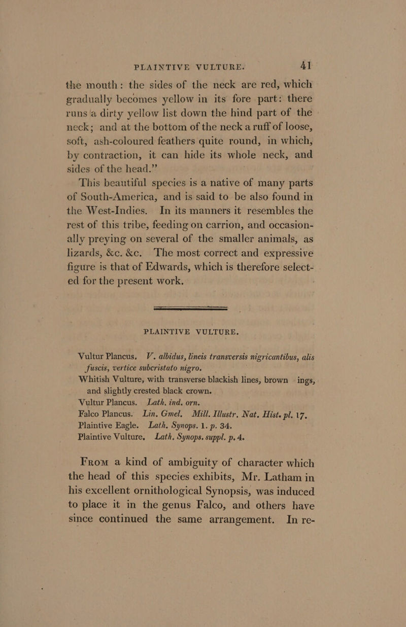 the mouth: the sides of the neck are red, which gradually becomes yellow in its fore part: there runs ‘a dirty yellow list down the hind part of the neck; and at the bottom of the neck a ruff of loose, soft, ash-coloured feathers quite round, in which, by contraction, it can hide its soar neck, and sides of the head.” This beautiful species is a native of many parts of South-America, and is said to be also found in the West-Indies. In its manners it resembles the rest of this tribe, feeding on carrion, and occasion- ally preying on several of the smaller animals, as lizards, &amp;c. &amp;c. The most correct and expressive figure is that of Edwards, which is therefore select- ed for the present work. PLAINTIVE VULTURE. Vultur Plancus, V. albidus, lineis transversis nigricantibus, alis Suscis, vertice subcristato nigro. Whitish Vulture, with transverse blackish lines, brown _ ings, and slightly crested black crown. Vultur Plancus. Lath, ind. orn. Falco Plancus. Lin. Gmel. Mill. Illustr. Nat. Hist. pl17. Plaintive Eagle. Lath. Synops. 1. p. 34. Plaintive Vulture, Lath. Synops. suppl. p. 4. From a kind of ambiguity of character which the head of this species exhibits, Mr. Latham in his excellent ornithological Synopsis, was induced to place it in the genus Falco, and others have since continued the same arrangement. In re-