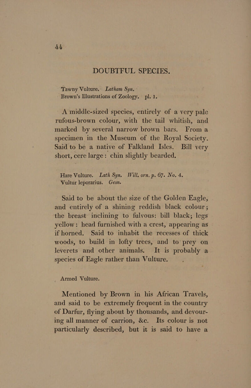 AA DOUBTFUL SPECIES. Tawny Vulture. Latham Syn. : Brown’s Ilustrations of Zoology. pl. 1. A middle-sized species, entirely of a very pale rufous-brown colour, with the tail whitish, and marked by several narrow brown bars. From a specimen in the Museum of the Royal Society. Said to be a native of Falkland Isles. Bill very short, cere large: chin slightly bearded. Hare Vulture. Lath Syn. Will. orn. p. 67. No. 4. Vultur leporarius. Gesn. Said to be about the size of the Golden Eagle, and entirely of a shining reddish black colour ; the breast inclining to fulvous: bill black; legs yellow: head furnished with a crest, appearing as — if horned. Said to inhabit the recesses of thick woods, to build in lofty trees, and to’ prey on leverets and other animals. It is probably a species of Eagle rather than Vulture. Armed Vulture. Mentioned by Brown in his African Travels, and said to be extremely frequent in the country of Darfur, flying about by thousands, and devour- ing all manner of carrion, &amp;c. Its colour is not particularly described, but it is said to have a
