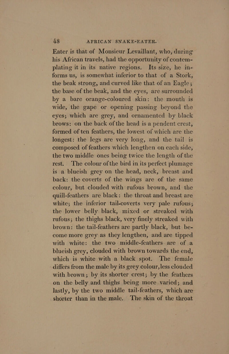 Eater is that of Monsieur Levaillant, who, during his African travels, had the opportunity of contem- plating it in its native regions. Its size, he in- forms us, is somewhat inferior to that of a Stork, the beak strong, and curved like that of an Eagle; the base of the beak, and the eyes, are surrounded by a bare orange-coloured skin: the mouth is wide, the gape or opening passing beyond the eyes; which are grey, and ornamented by black brows: on the back of the head is a pendent crest, formed of ten feathers, the lowest of which are the longest: the legs are very long, and the tail is composed of feathers which lengthen on each side, the two middle ones being twice the length of the rest. The colour of the bird in its perfect plumage is a blueish grey on the head, neck, breast and back: the coverts of the wings are of the same colour, but clouded with rufous brown, and the quill-feathers are black: the throat and breast are white; the inferior tail-coverts very pale rufous; the lower belly black, mixed or streaked with rufous; the thighs black, very finely streaked with brown: the tail-feathers are partly black, but be- come more grey as they lengthen, and are tipped with white: the two middle-feathers are of a blueish grey, clouded with brown towards the end, which is white with a black spot. ‘The female differs from the male by its grey colour, less clouded with brown; by its shorter crest; by the feathers on the belly and thighs being more varied; and lastly, by the two middle tail-feathers, which are shorter than in the male. ‘The skin of the throat