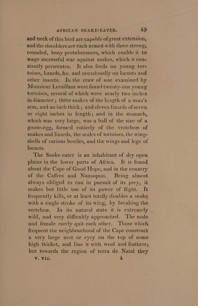 and neck of this bird are capable of great extension, and the shoulders are each armed with three strong, rounded, bony protuberances, which enable it to wage successful war against snakes, which it con- stantly persecutes. It also feeds on young tor- toises, lizards, &amp;c. and occasionally on locusts and other insects. Inthe craw of one examined by Monsieur Levaillant were found twenty-one young tortoises, several of which were nearly two inches in diameter ; thfee snakes of the length of a man’s arm, and aninch thick; and eleven lizards of seven or eight inches in length; and in the stomach, which was very large, was a ball of the size of a goose-eeg, formed entirely of the vertebrae of snakes and lizards, the scales of tortoises, the wing- shells of various beetles, and the wings and legs of locusts. The Snake-eater is an inhabitant of dry open plains in the lower parts of Africa. It is found about the Cape of Good Hope, and in the country of the Caffres and Namaquas. Being almost always obliged to run in pursuit of its prey, it makes but little use of its power of flight. It frequently kills, or at least totally disables a snake with a single stroke of its wing, by breaking the vertebrae. In its natural state it is extremely wild, and very difficultly approached. The male and female rarely quit each other. ‘Those which frequent the neighbourhood of the Cape construct a very large nest or eyry on the top of some high thicket, and line it with wool and feathers; but towards the region of terra de Natal they