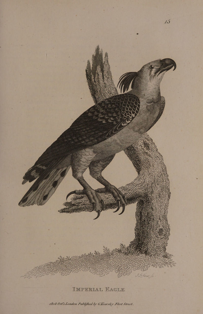 - Giwrax Luu S la J, wes SH a wrgrpe IMPERIAL EAGLE 1808 Oct London Publifhed by Chturstev hlect Strect.