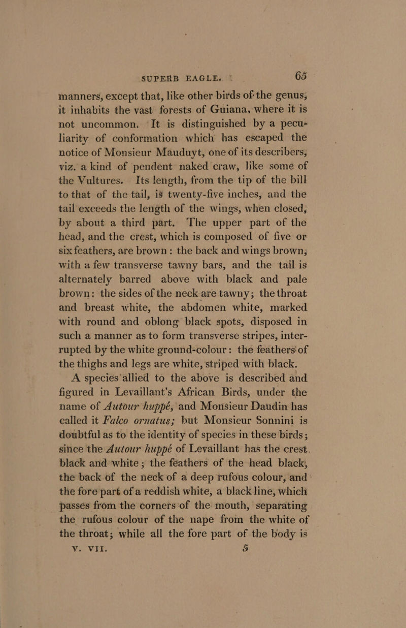 manners, except that, like other birds of the genus, it inhabits the vast forests of Guiana, where it is not uncommon. ‘It is distinguished by a pecu- liarity of conformation which has escaped the notice of Monsieur Mauduyt, one of its describers, viz. a kind of pendent naked craw, like some of the Vultures. Its length, from the tip of the bill to that of the tail, is twenty-five inches, and the tail exceeds the length of the wings, when closed, by about a third part. The upper part of the head, and the crest, which is composed of five or six feathers, are brown: the back and wings brown; with a few transverse tawny bars, and the tail is alternately barred above with black and pale brown: the sides of the neck are tawny; the throat and breast white, the abdomen white, marked with round and oblong black spots, disposed in such a manner as to form transverse stripes, inter- rupted by the white ground-colour: the feathers‘ of the thighs and legs are white, striped with black. A species‘allied to the above is described and figured in Leyaillant’s African Birds, under the name of Autour huppé, and Monsieur Daudin has called it Falco ornatus; but Monsieur Sonnini is doubtful as to the identity of species in these birds ; since the Autour huppé of Levaillant has the crest. black and white ; the feathers of the head black, the back of the neck of a deep rufous colour, and ° the fore part of a reddish white, a black line, which passes from the corners of the mouth, separating the rufous colour of the nape from the white of the throat; while all the fore part of the body is Vv. VII. 5