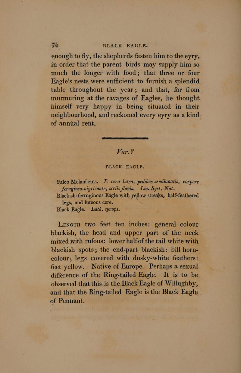 7a BLACK EAGLE. enough to fly, the shepherds fasten him to the eyry, in order that the parent birds may supply him so much the longer with food; that three or four Fagle’s nests were sufficient to furnish a splendid table throughout the year; and that, far from. murmuring at the ravages of Eagles, he thought himself very happy in being situated in their neighbourhood, and reckoned every eyry as a kind. of annual rent. Var. ? BLACK EAGLE. Falco Melanaetus. JF. cera lutea, pedibus semilanatis, corpore. _ferugineo-nigricante, striis flavis. Lin. Syst. Nat. Blackish-ferruginous Eagle with oe streaks, half-feathered legs, and luteous cere. Black Eagle. Lath. synops. Leneru two feet ten inches: general colour blackish, the head and upper part of the neck mixed with rufous: lower halfof the tail white with blackish spots; the end-part blackish: bill horn- colour; legs covered with dusky-white feathers: feet yellow. Native of Europe. Perhaps a sexual difference of the Ring-tailed Eagle. It is to be observed that this is the Black Eagle of Willughby, and that the Ring-tailed Eagle is the Black Eagle of Pennant.