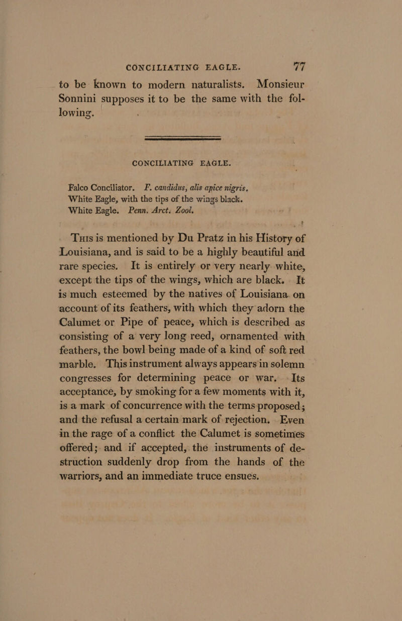 CONCILIATING EAGLE. 7 to be known to modern naturalists. Monsieur Sonnini supposes it to be the same with the fol- lowing. CONCILIATING EAGLE. Falco Conciliator. J’. candidus, alis apice nigris. White Eagle, with the tips of the wings black. White Eagle. Penn. Arct: Zool, Tuts is mentioned by Du Pratz in his History of Louisiana, and is said to be a highly beautiful and rare species. It is entirely or very nearly white, except the tips of the wings, which are black. . It is much esteemed by the natives of Louisiana. on account of its feathers, with which they adorn the Calumet or Pipe of peace, which is described as consisting of a very long reed, ornamented with feathers, the bowl being made of a kind of soft red marble. This instrument always appears in solemn congresses for determining peace or war. Its acceptance, by smoking for a few moments with it, is a mark of concurrence with the terms proposed; and the refusal a certain mark of rejection. Even in the rage of a conflict the Calumet is sometimes offered; and if accepted, the instruments of de- struction suddenly drop from the hands of the warriors, and an immediate truce ensues.