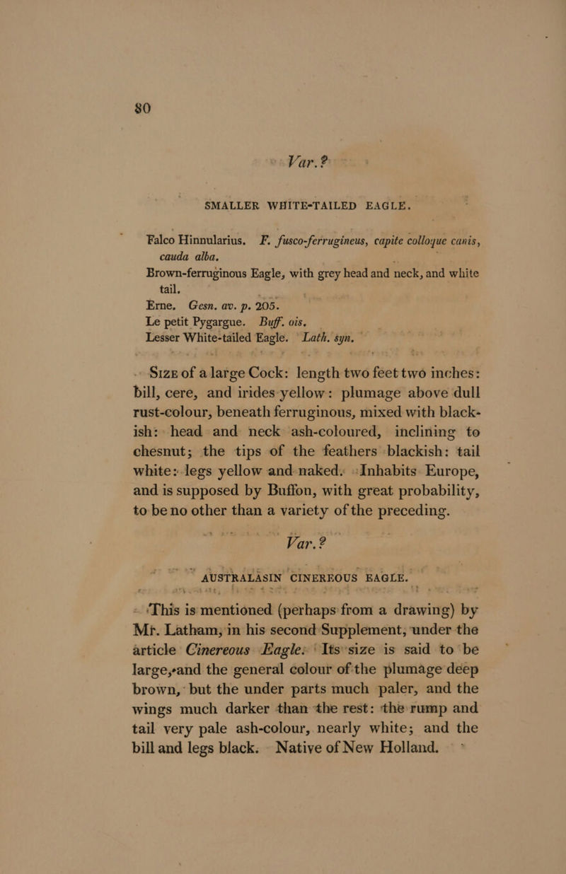 $0 Var.? SMALLER WHITE-TAILED EAGLE. Falco Hinnularius. F. fusco-ferrugineus, capite colloyue canis, cauda alba. ye Brown-ferruginous Eagle, with grey head and neck, and white tail. . | Erne. Gesn. av. p. 205. Le petit Pygargue. Buff. ois. _ Lesser White- Seine pg “Lath, i . Size ofa aie Cock: ee two feet two inches: bill, cere, and irides yellow: plumage above dull rust-colour, beneath ferruginous, mixed with black- ish: head and neck ash-coloured, inclining to chesnut; the tips of the feathers blackish: tail white:-legs yellow and naked. :Inhabits Europe, and is supposed by Buffon, with great probability, to be no other than a variety of the preceding. Var. ? ; AUSTRALASIN ‘CINEREOUS EAGLE. This j is tse iesactepe en a dviwitif) es Mr. Latham; in his second Supplement, under the article Cinereous Eagle: Its size is said to be large,sand the general colour of the plumage deep brown, but the under parts much paler, and the wings much darker than ‘the rest: the rump and tail very pale ash-colour, nearly white; and the bill and legs black. - Native of New Holland.