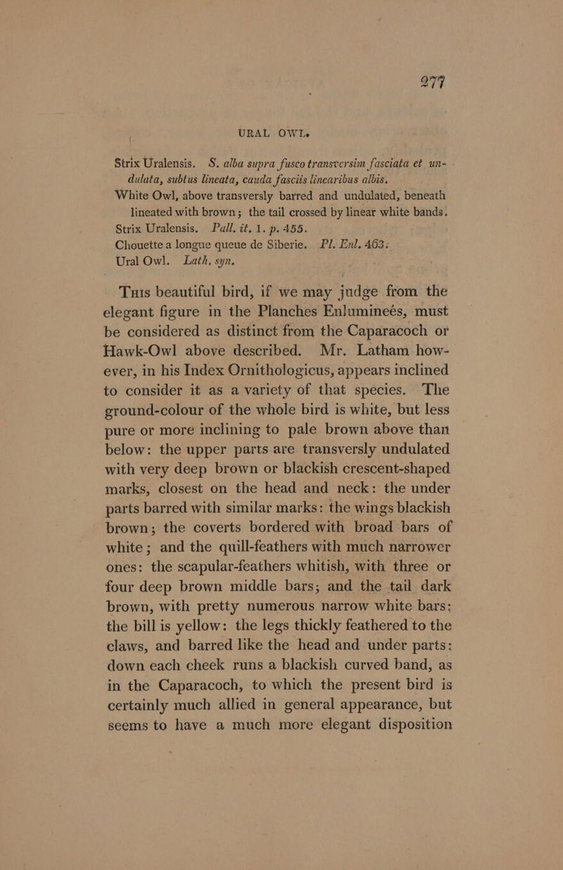 URAL OWL Strix Uralensis. S. alba supra fusco transversim fasciata et un- dulata, subtus lineata, cauda fasciis linearibus albis. White Owl, above transversly barred and undulated, beneath lineated with brown; the tail crossed by linear white bands. Strix Uralensis. Pall. it. 1. p. 455. Chouette a longue queue de Siberie. Pl. Enl. 463; Ural Owl. = Lath, syn. Tuts beautiful bird, if we may judge from the elegant figure in the Planches Enlumineés, must be considered as distinct from the Caparacoch or Hawk-Owl above described. Mr. Latham how- ever, in his Index Ornithologicus, appears inclined to consider it as a variety of that species. The ground-colour of the whole bird is white, but less pure or more inclining to pale brown above than below: the upper parts are transversly undulated with very deep brown or blackish crescent-shaped marks, closest on the head and neck: the under parts barred with similar marks: the wings blackish brown; the coverts bordered with broad bars of white ; and the quill-feathers with much narrower ones: the scapular-feathers whitish, with three or four deep brown middle bars; and the tail. dark brown, with pretty numerous narrow white bars: the billis yellow: the legs thickly feathered to the claws, and barred like the head and under parts: down each cheek runs a blackish curved band, as in the Caparacoch, to which the present bird is certainly much allied in general appearance, but seems to have a much more elegant disposition