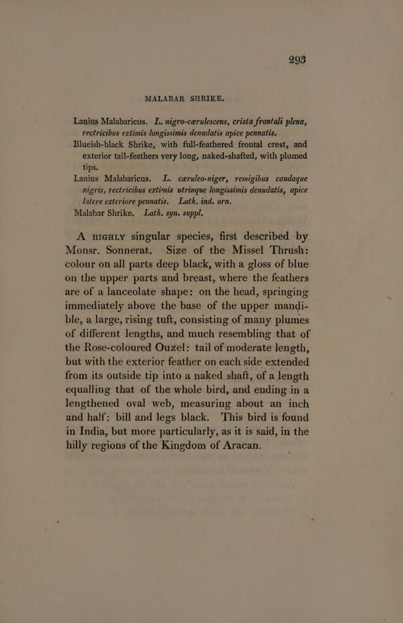 MALABAR SHRIKE. Lanius Malabaricus. LL. nigro-c@rulescens, crista frontali plena, rectricibus extimis longissimis denudatis apice pennatis. Blueish-black Shrike, with full-feathered frontal crest, and exterior tail-feathers very long, naked-shafted, with plumed tips. : Lanius Malabaricus. LL. ceruleo-niger, remigibus caudaque nigris, rectricibus extinis utrinque longissimis denudatis, apice latere exteriore pennatis. Lath. ind. orn. Malabar Shrike. Lath. syn. suppl. A HIGHLY singular species, first described by Monsr. Sonnerat. Size of the Missel Thrush: colour on all parts deep black, with a gloss of blue on the upper parts and breast, where the feathers are of a lanceolate shape: on the head, springing immediately above the base of the upper. mandi- ble, a large, rising tuft, consisting of many plumes of different lengths, and much resembling that of the Rose-coloured Ouzel: tail of moderate length, but with the exterior feather on each side extended from its outside tip into a naked shaft, of a length equalling that of the whole bird, and ending in a lengthened oval web, measuring about an inch and half: bill and legs black. ‘This bird is found in India, but more particularly, as it is said, in the hilly regions of the Kingdom of Aracan.