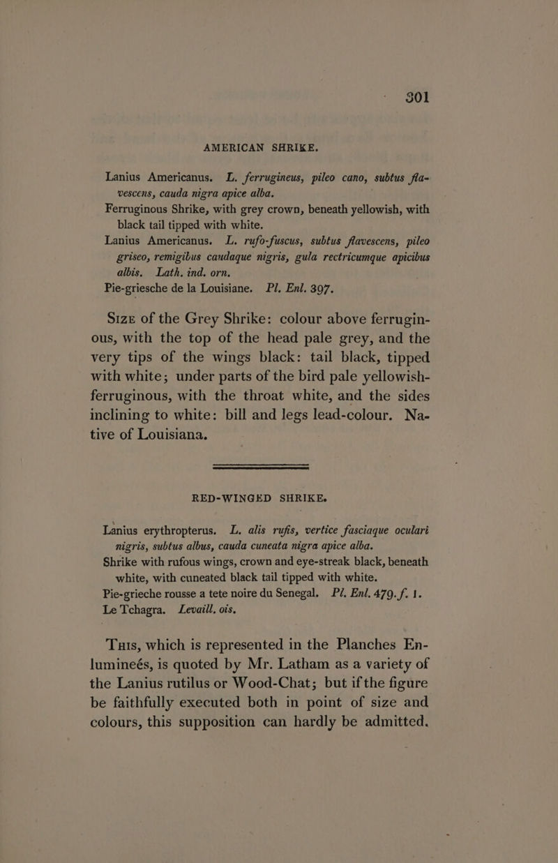 AMERICAN SHRIKE. Lanius Americanus. L. ferrugineus, pileo cano, subtus fla- vescens, cauda nigra apice alba. Ferruginous Shrike, with grey crown, beneath yellowish, with black tail tipped with white. Lanius Americanus. L. rufo-fuscus, subtus flavescens, pileo griseo, remigibus caudaque nigris, gula rectricumque apicibus albis, Lath. ind. orn. Pie-griesche de la Louisiane. PJ. Enl. 397. S1zE of the Grey Shrike: colour above ferrugin- ous, with the top of the head pale grey, and the very tips of the wings black: tail black, tipped with white; under parts of the bird pale yellowish- ferruginous, with the throat white, and the sides inclining to white: bill and legs lead-colour. Na- tive of Louisiana. RED-WINGED SHRIKE. Lanius erythropterus. L. alis rufis, vertice fasciaque oculari nigris, subtus albus, cauda cuneata nigra apice alba. Shrike with rufous wings, crown and eye-streak black, beneath white, with cuneated black tail tipped with white. Pie-grieche rousse a tete noire du Senegal. Pé. Enl. 479. f. 1. Le Tchagra. Levaill. ors. Tuts, which is represented in the Planches En- lumineés, is quoted by Mr. Latham as a variety of the Lanius rutilus or Wood-Chat; but ifthe figure be faithfully executed both in point of size and colours, this supposition can hardly be admitted.