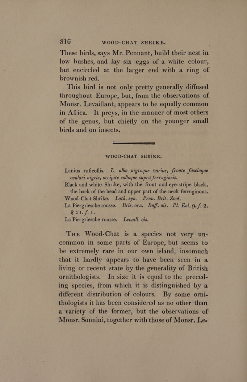 These birds, says Mr. Pennant, build their nest in low bushes, and lay six eggs of a white colour, but encircled at the larger end with a ring of brownish red. : This bird is not only pretty generally diffused throughout Europe, but, from the observations of Monsr. Levaillant, appears to be equally common in Africa. It preys, in the manner of most others of the genus, but chiefly on the younger small birds and on insects. WOOD-CHAT SHRIKE. Lanius ruficollis. LL. albo nigroque varius, fronte fasciaque oculari nigris, occipite colloque supra ferrugineis. Black and white Shrike, with the front and eye-stripe black, the back of the head and upper part of the neck ferruginous. Wood-Chat Shrike. Lath, syn. Penn. Brit. Zool. La Pie-griesche rousse. Bris, orn. Buff. ois. Pl. Enl. 9. f. 2. § 31. f.1. | La Pie-griesche rousse. Levaill. ois. Tue Wood-Chat is a species not very un- common in some parts of Europe, but seems to be extremely rare in our own island, insomuch that it hardly appears to have been seen in a living or recent state by the generality of British ornithologists. In size it is equal to the preced- ing species, from which it is distinguished by a different distribution of colours. By some orni- thologists it has been considered as no other than a variety of the former, but the observations of Monsr, Sonnini, together with those of Monsr. Le-