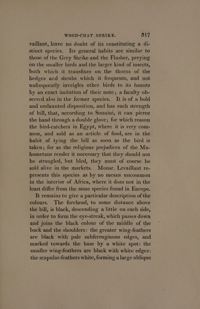 vaillant, leave no doubt of its constituting a di- stinct species. Its general habits are similar to those of the Grey Shrike and the Flusher, preying on the smaller birds and the larger kind of insects, both which it transfixes on the thorns of the hedges and shrubs which it frequents, and not unfrequently inveigles other birds to its haunts by an exact imitation of their note; a faculty ob- served also in the former species. It is of a bold and undaunted disposition, and has such strength of bill, that, according to Sonnini, it can pierce the hand through a double glove; for which reason the bird-catchers in Egypt, where it is very com- mon, and sold as an article of food, are in the habit of tying the bill as soon as the bird is taken; for as the religious prejudices of the Ma- hometans render it necessary that they should not be strangled, but bled, they must of course be sold alive in the markets. Monsr. Levaillant re- presents this species as by no means uncommon in the interior of Africa, where it does not in the least differ from the same species found in Europe. It remains to give a particular description of the colours. ‘The forehead, to some distance above the bill, is black, descending a little on each side, in order to form the eye-streak, which passes down and joins the black colour of the middle of the back and the shoulders: the greater wing-feathers are black with pale subferruginous edges, and marked towards the base by a white spot: the smaller wing-feathers are black with white edges: the scapular-feathers white, forming a large oblique